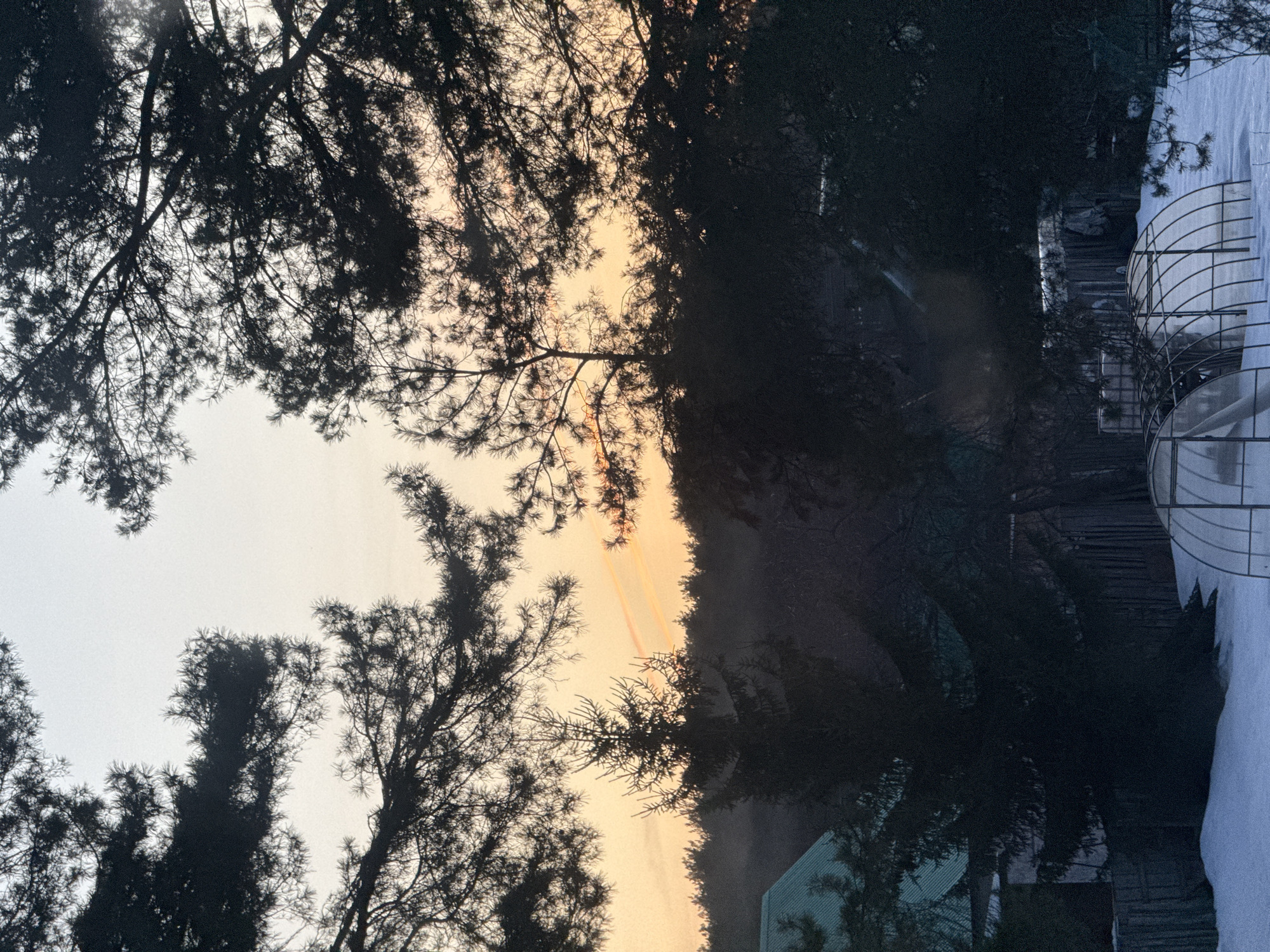 The image shows a view upwards through the branches of trees silhouetted against a sky that is lighter at the top and transitions to a pale orange near the center. A metallic structure resembling a greenhouse or arched frame is visible on the right side of the image, with snow at its base. Dark structures, possibly buildings, are partially obscured by the trees. Based on the location details, the scene is likely set in a wooded or suburban area of Chaikovsky, Russia, during dawn or dusk. The focus is on the natural environment and the light filtering through the trees.