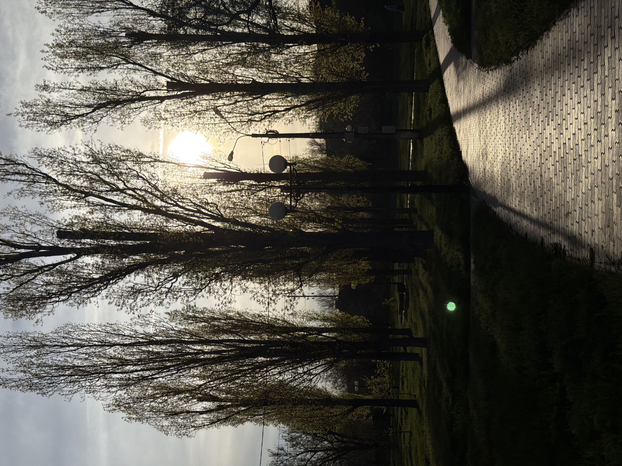 The image depicts a park scene in Kamyshin, Russia. A paved pathway runs diagonally from the upper right to the lower left, casting a long shadow. Trees with thin branches line the pathway. The sun is visible through the trees, creating a silhouetting effect. Lampposts are visible among the trees. The grass appears green, with some darker areas in the shadows. A green, round reflection is visible in the grass.
