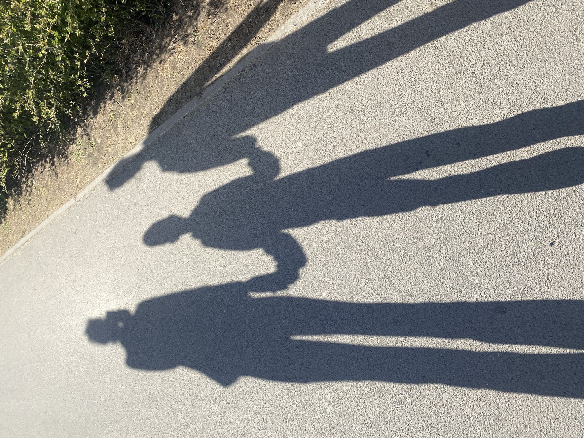 The image shows shadows of three people on a paved road. The shadows suggest the people are walking. The location appears to be next to a patch of vegetation. There is no clear evidence within the image to determine its exact location within the city of Saint Petersburg, Russia.