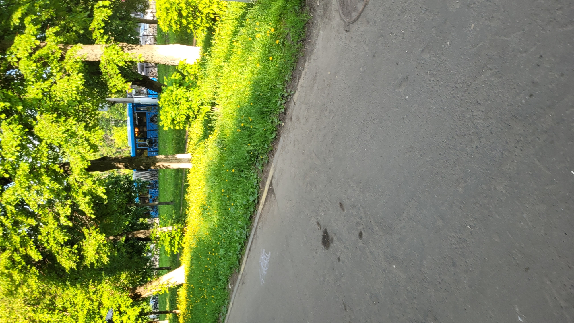 The image shows a slightly angled view of a park in an unidentified city. On the left, lush green trees and grass are illuminated by sunlight, with a glimpse of a blue bus or trolley visible between the trees. To the right, a gray asphalt sidewalk dominates the frame. The sidewalk exhibits minor blemishes, possibly oil stains or debris. The scene suggests a tranquil urban park area on a sunny day.