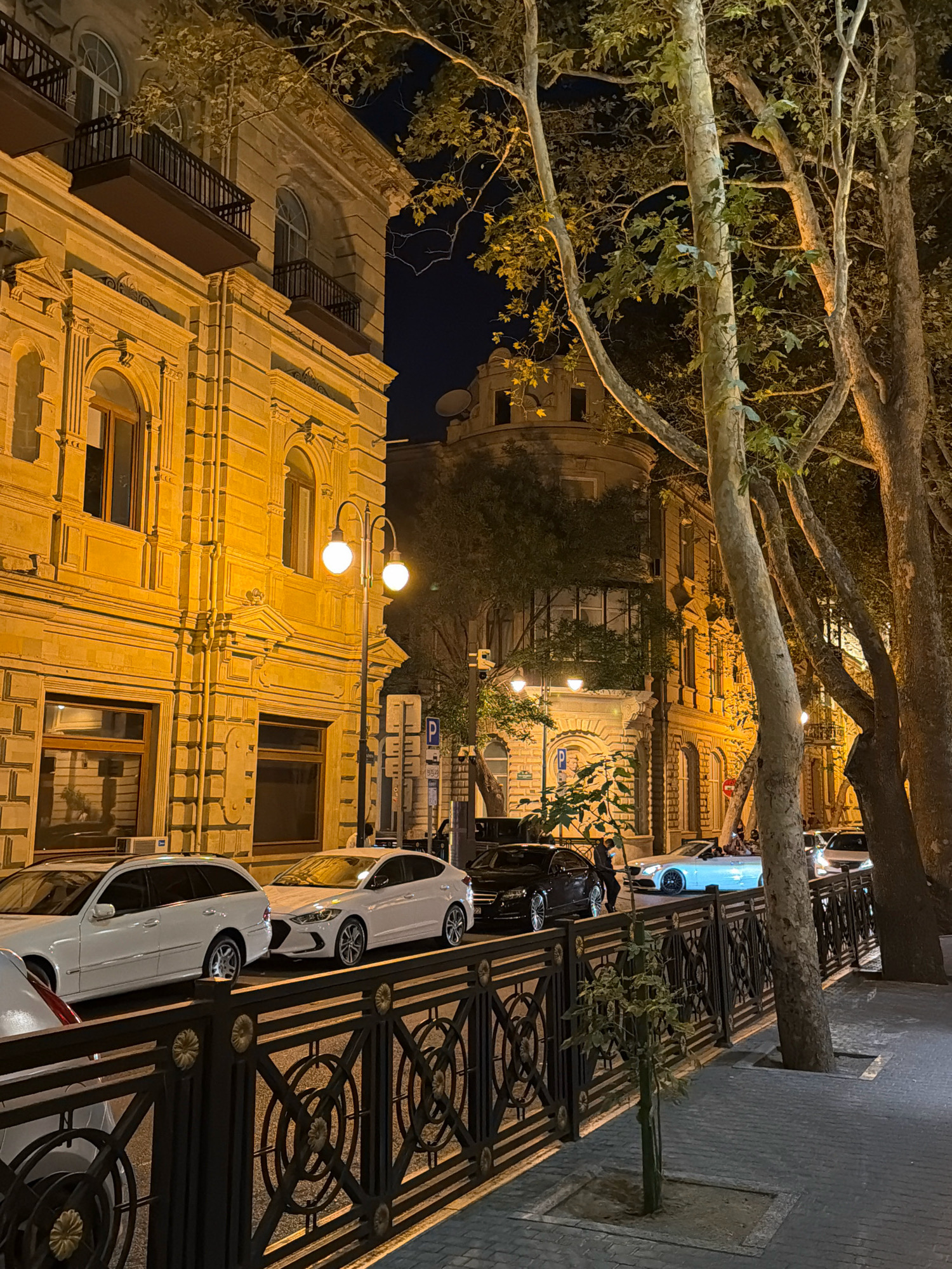 The image depicts a street scene in Baku, Azerbaijan at night. The left side of the image features a building with ornate yellow facade and arched windows. A black metal fence runs along the sidewalk, separating it from the street. Several cars, including white sedans and a white station wagon, are parked along the curb. Trees with prominent trunks and branches line the sidewalk on the right side of the image, their leaves illuminated by streetlights. In the background, other buildings and streetlights are visible. A few people are seen walking on the sidewalk. The overall scene conveys a sense of urban nighttime ambiance.