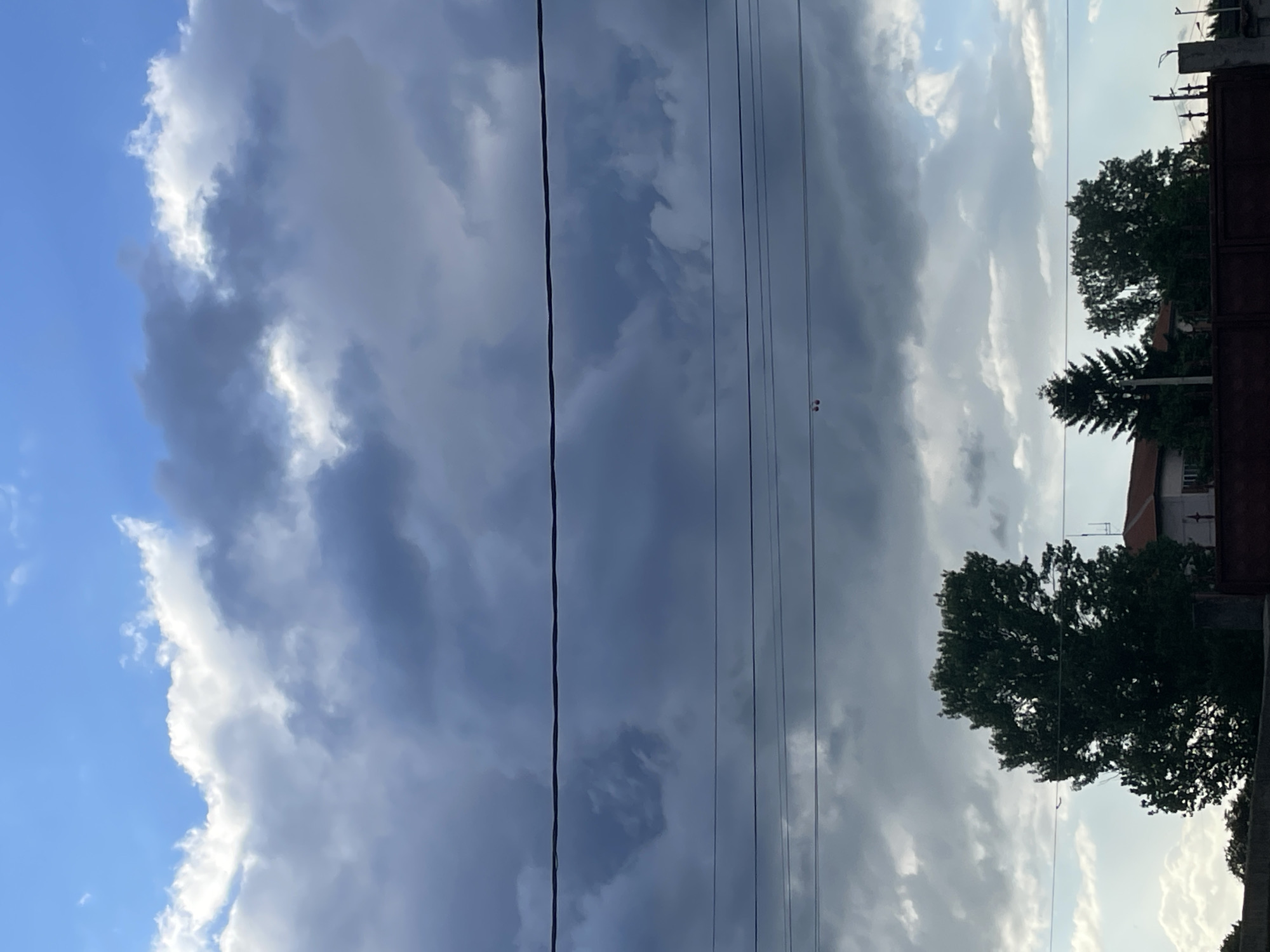The image captures an outdoor scene, likely in a residential or semi-urban area of Ihtiman, Bulgaria, under a dramatic and heavily clouded sky. The sky dominates the upper and central portions of the frame, featuring extensive formations of dark grey clouds, which suggest significant cloud cover or an approaching weather front. Scattered patches of clear blue sky are visible, predominantly in the upper-left corner and peeking through gaps in the cloud mass. Bright sunlight illuminates the edges of some clouds, creating vivid white highlights that contrast sharply with the darker, heavier cloud bodies.
Multiple thin, dark power lines or utility wires stretch horizontally across the mid-ground, intersecting the cloudscape. On the right side of the image, the dark silhouettes of several trees are visible, their dense foliage appearing deep green or black against the lighter sky and clouds. Behind and interspersed with the trees, parts of buildings, including rooftops and walls, are discernible, indicating a populated area. A dark fence or gate is partially visible along the far-right edge of the frame.
The lighting conditions, characterized by the interplay of bright sky, illuminated cloud edges, and shadowed foreground elements, suggest either a late afternoon or early evening setting, or perhaps midday with heavy overcast conditions. No people or specific activities are depicted in the static scene. There is no visible text in the image.