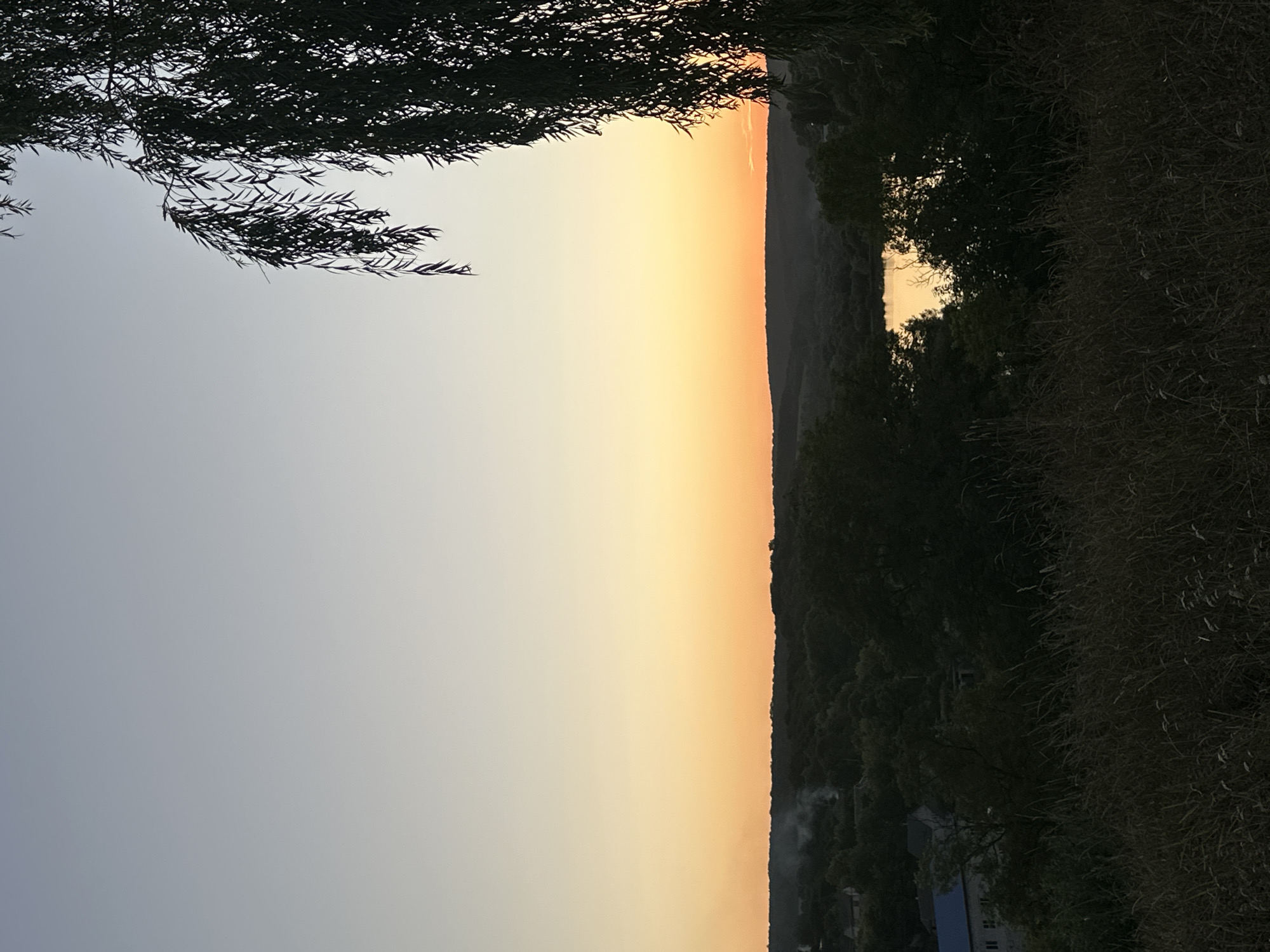 The image depicts a serene sunset landscape with a willow tree branch in the foreground on the right, silhouetted against a gradient sky transitioning from pale blue at the top to a warm orange near the horizon. Below the sky, a dark, undulating treeline stretches across the middle ground, obscuring a small body of water that reflects the sunset's glow. On the far left of the treeline, a cluster of houses with visible rooftops and smoke emanating from one suggests the presence of a village. The foreground is dominated by tall, dry grass, adding a rustic texture to the scene. The location is identified as Makiv, Ukraine. The image captures a tranquil, natural environment during twilight, with human settlement subtly present in the distance. There are no people or animals visible in the frame, and no discernible actions or interactions are taking place.