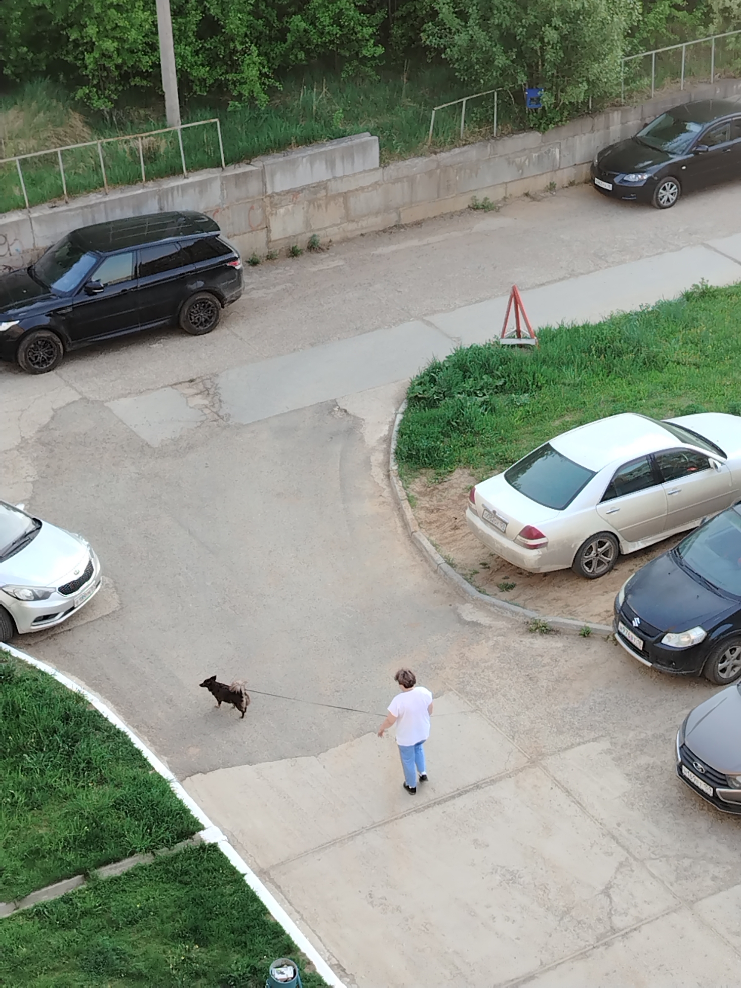 An overhead shot shows a residential street in Noviy, Russia. A woman in a white shirt and light blue jeans walks a small, dark brown dog on a leash. Several cars are parked in the vicinity. The cars include a black Range Rover, a silver compact car, a white sedan, a dark compact car, and a gray sedan. A metal fence runs along the top of the image. A small, red and white striped safety cone is placed near a patch of grass.