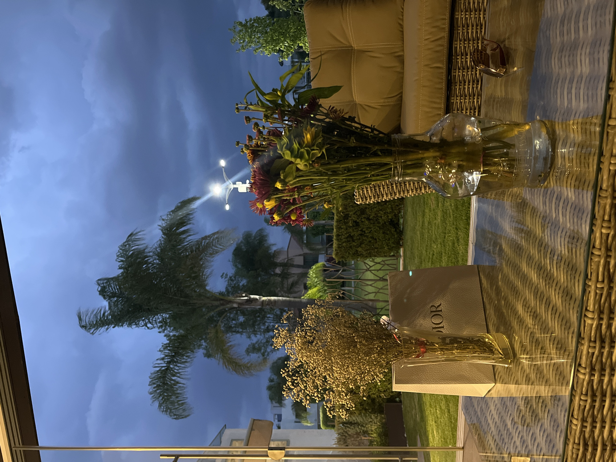 Here's a description of the image:
The image is taken at night on an outdoor patio, likely in San Bernardino Tlaxcalancingo, Mexico based on geographical assumptions. The view is through a glass or transparent barrier, showing the exterior environment.
A wicker table is in the foreground. On the table are various items:
* Two glass vases containing flowers. One vase holds a colorful bouquet, while the other contains smaller dried flowers.
* A Dior shopping bag.
* A pair of sunglasses
Behind the table, a cushioned outdoor seating area is partially visible.
The background shows a residential area with houses and greenery. A palm tree is prominent, bending in the wind, and there is a street light illuminating the scene. The sky is dark and cloudy, suggesting an approaching storm or recent rainfall.