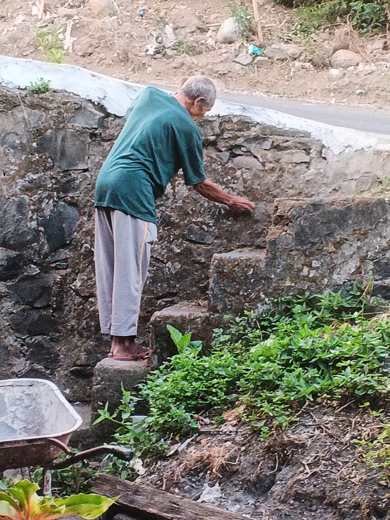 The image depicts an elderly individual with gray hair, wearing a dark green t-shirt and light gray pants, standing on a stone step. The person is reaching out and touching a stone wall. In the foreground, to the left, a wheelbarrow is visible, and to the right, lush green plants grow. The background shows a dry, rocky embankment. The scene appears to be outdoors in a rural or semi-rural setting, possibly in the city of Keji, Indonesia, given the context provided. The lighting suggests it is daytime.