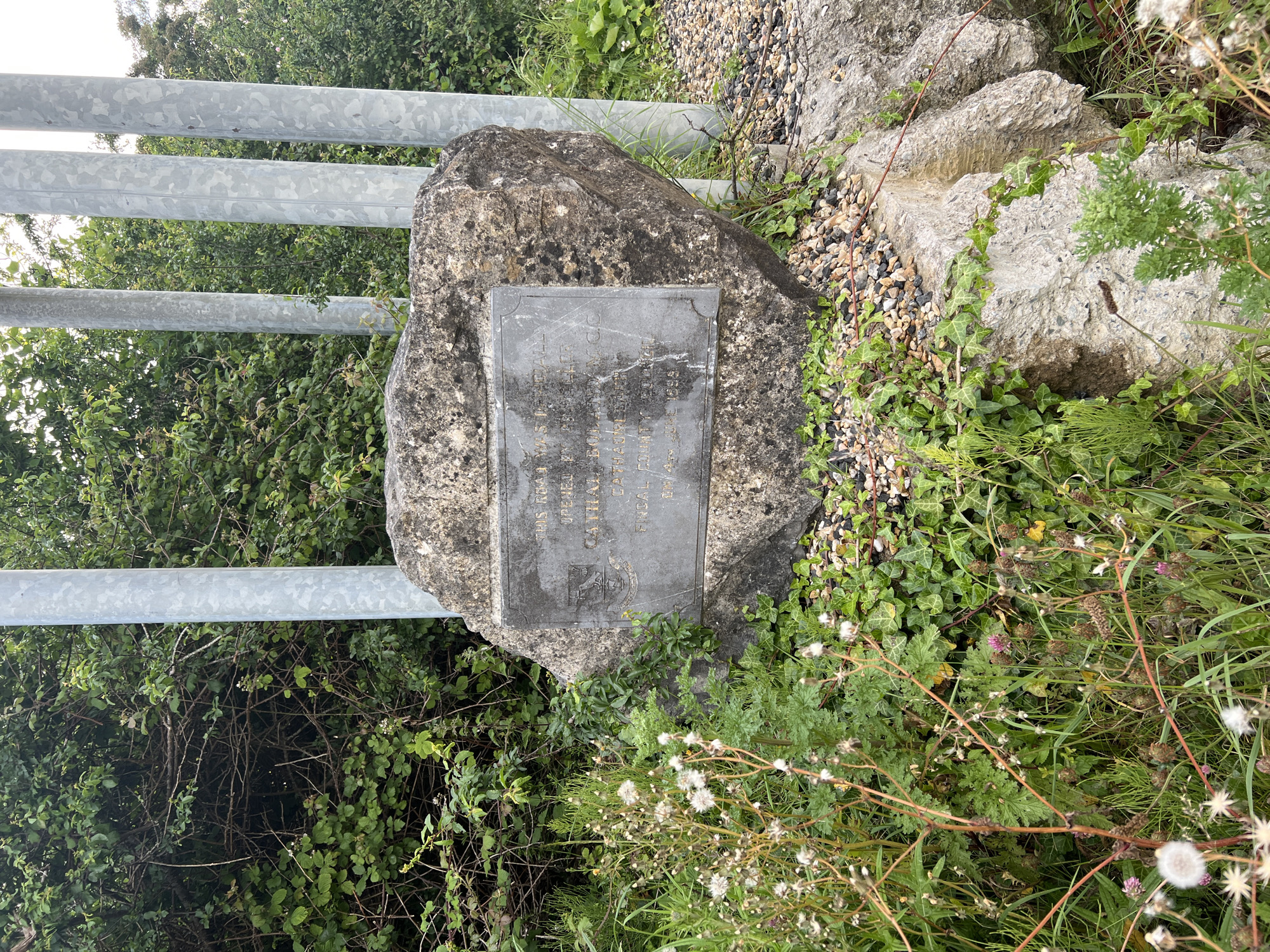 The image shows a large, rough-hewn rock with a metal plaque attached to its face. The plaque contains engraved text and a crest. The rock is situated outdoors, with vegetation growing around its base, including grass, ivy, and some flowering plants. In the background, several tall, metallic poles are visible, set against a backdrop of dense green foliage. The overall setting appears to be a natural or semi-natural environment, possibly a roadside or park area. The plaque's inscription is partially obscured but appears to be a dedication or historical marker. The presence of the metal poles suggests infrastructure, possibly related to lighting or signage, common in urban or suburban areas. Without further context, pinpointing the exact location in Balbriggan, Ireland, is impossible, but the scene suggests an outdoor public space with a memorial or informational element.