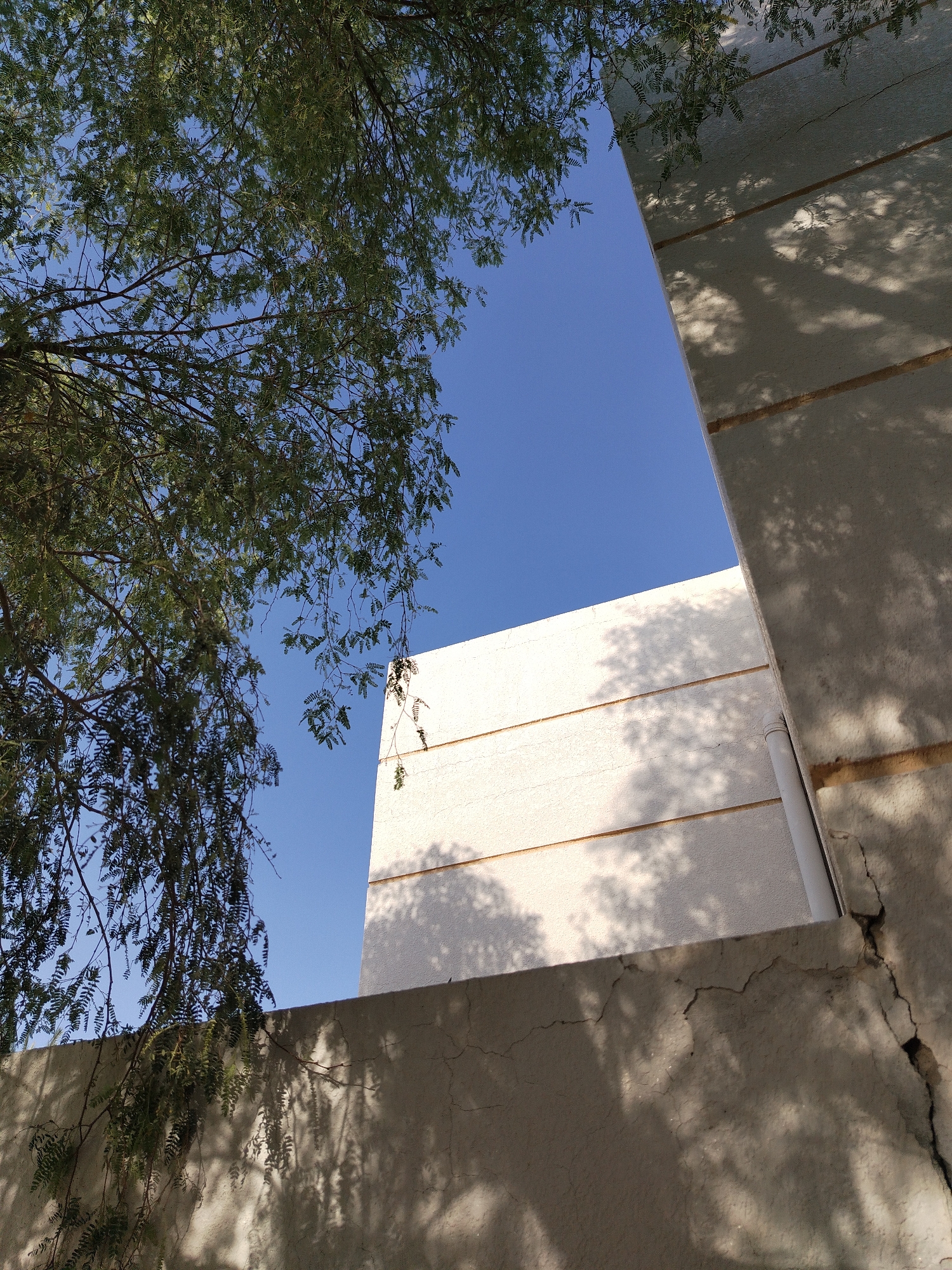 The image shows a low-angle view in Al Mas'oudi, United Arab Emirates. A tree with green foliage occupies the left side of the frame, partially obscuring the blue sky. A white building with horizontal lines is visible through a gap between the tree and a wall. The wall is textured with shadows of foliage and has a crack running vertically down the right side. A white pipe is attached to the building's wall.