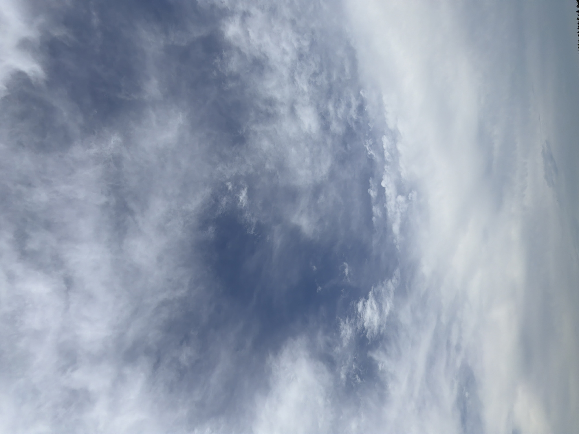 The image shows a sky filled with clouds. The clouds are a mix of white and gray, with some appearing wispy and others more dense. The overall lighting suggests it is daytime, possibly overcast or nearing sunset. The very bottom of the image shows a dark silhouette of trees against the lighter sky, indicating a natural landscape or park. No people, animals, or man-made structures are clearly discernible. The location of Altayskiye Zori, Russia, is not visually represented in the image itself.