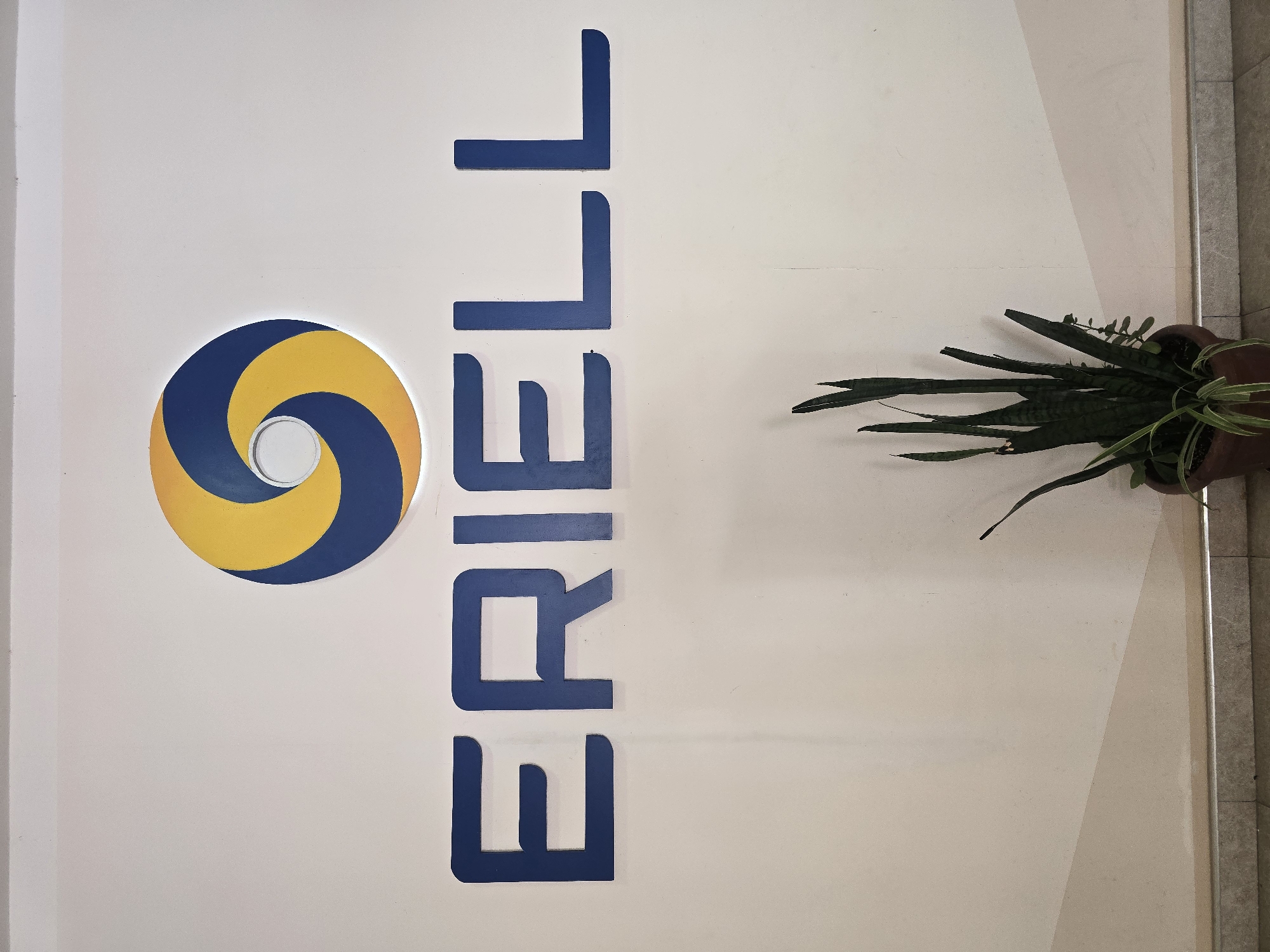 The image shows the word "ERIELL" in large, dark blue, raised letters mounted on a light-colored wall. Above the letters, the ERIELL company logo is displayed, which consists of a circular design with swirling segments of yellow and dark blue. The logo is positioned to the left of the text. In the lower part of the image, a potted snake plant with long, dark green leaves is visible. The wall has a slight gradient of color change starting from the top left to the bottom right. The bottom of the wall meets a tiled floor with a metallic skirting board. The scene appears to be an interior space, likely an office or building lobby, possibly in Karshi City, Uzbekistan, as indicated by the company's presence in the region.