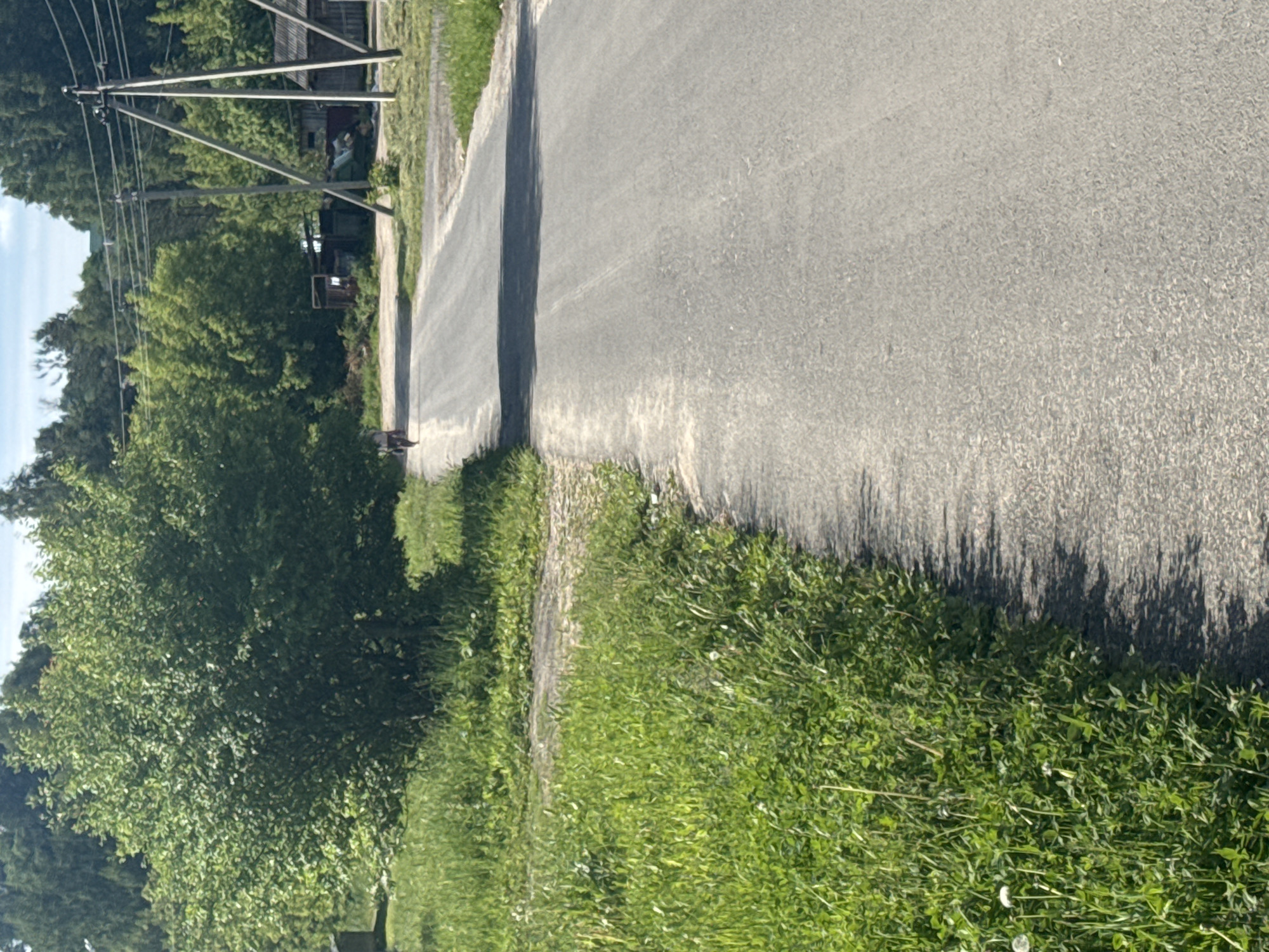 The image displays a sunlit, rural road scene, likely in Красные Баки, Russia. A narrow, paved asphalt road stretches from the foreground into the distance, appearing to curve slightly. Both sides of the road are bordered by lush green grass and dense foliage, dominated by large, leafy trees, particularly on the left.
Several wooden utility poles, equipped with crossbeams and multiple wires, stand prominently on the left side of the road, extending power or communication lines across the sky. In the mid-ground, partially obscured by the utility poles and trees, a rustic-looking wooden structure, possibly a building or fence, is visible.
A small, dark, indistinct figure, possibly a dog, is present on the left edge of the road, near the first utility pole, facing away from the viewer. No human figures are clearly visible.
The scene is bathed in bright daylight, suggesting a sunny day, likely late morning or early afternoon, based on the distinct shadows cast by unseen objects (likely trees or other poles) and the utility poles onto the road and grassy verges. The shadows are elongated but not excessively long, indicating the sun is not directly overhead. The overall impression is one of a quiet, natural environment. No visible text is present in the image.