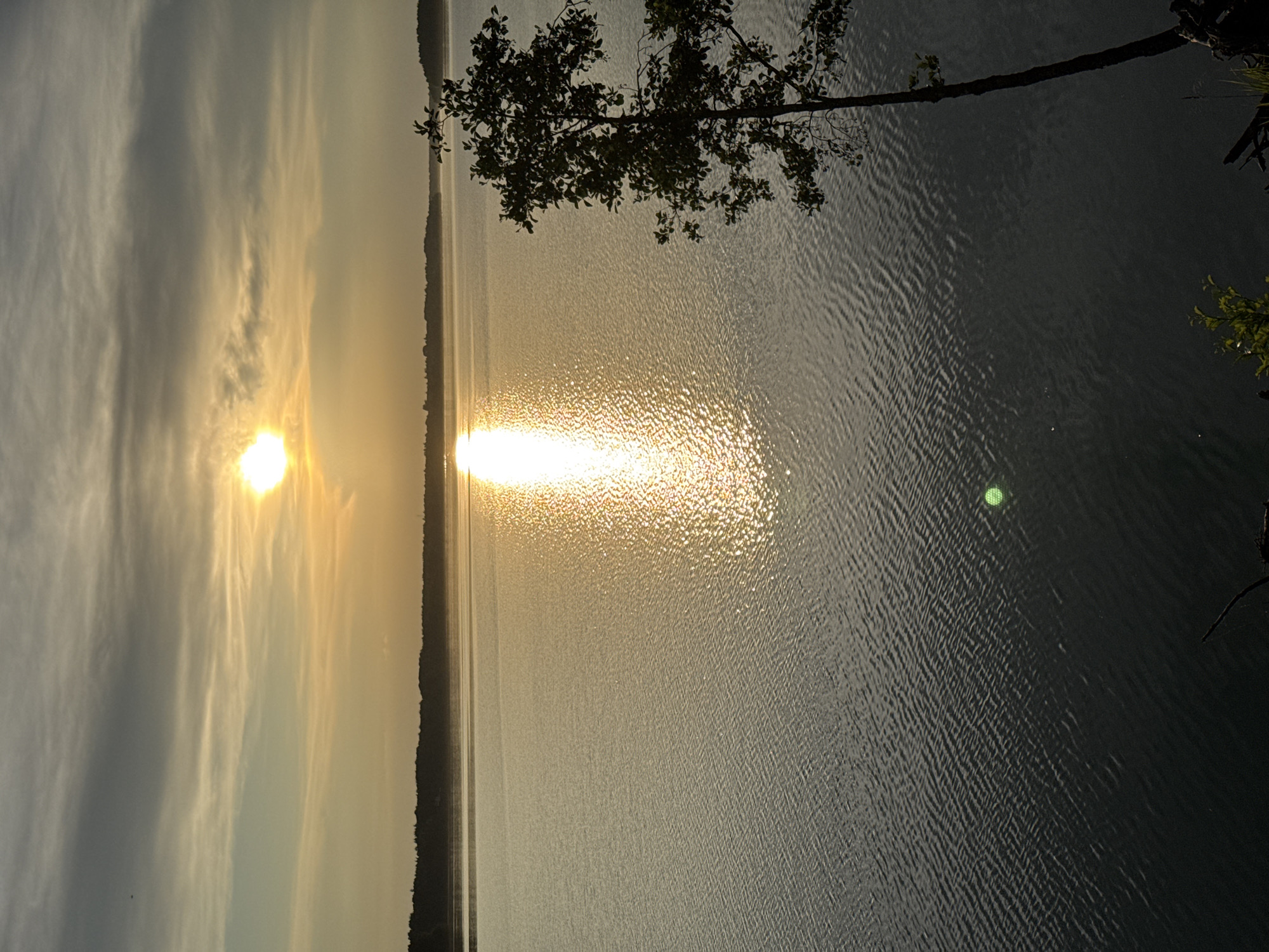 An outdoor, vertical, eye-level shot captures the tranquil expanse of a body of water, likely a lake or bay, on what appears to be a late afternoon or early evening. The sun, a bright, diffused orb, hangs low in the hazy, cloud-streaked sky, casting a shimmering, golden reflection across the rippling surface of the water. A dark, silhouetted tree stands on the right edge of the frame, its branches reaching out towards the water. The distant shoreline is a dark, tree-lined horizon. The scene evokes a sense of peaceful solitude. The location is identified as Priladozhskoe, Russia.