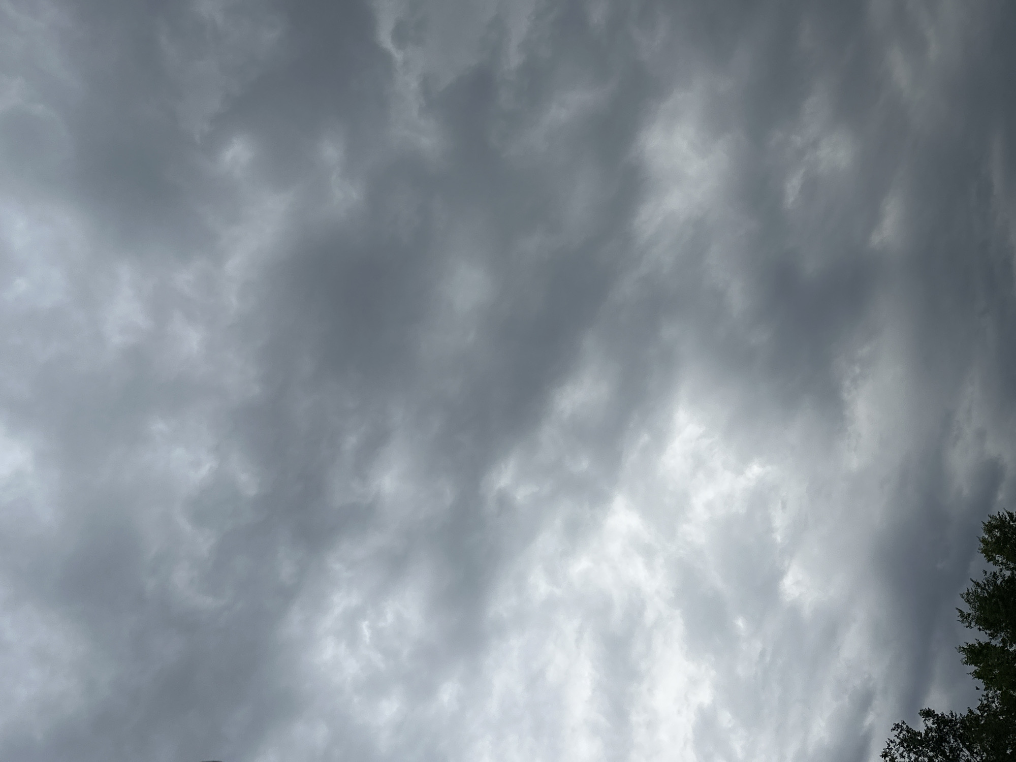 This is a close-up, low-angle shot of a cloudy sky. The clouds are predominantly grey and appear dense, suggesting an overcast day or the approach of a storm. There are variations in the cloud cover, with some areas appearing lighter and more illuminated, possibly indicating breaks in the clouds or the sun attempting to shine through. The texture of the clouds is varied, with some appearing wispy and others more solid and textured. In the lower right corner, the dark green tops of trees are visible, indicating that the photo was taken outdoors, looking upwards. The lighting is diffused due to the cloud cover, casting a uniform, somewhat dim light across the scene. There is no visible text in the image. The overall mood is somber and possibly foreboding, due to the heavy cloud formations. The time of day is indeterminate, but the light suggests it is daytime.