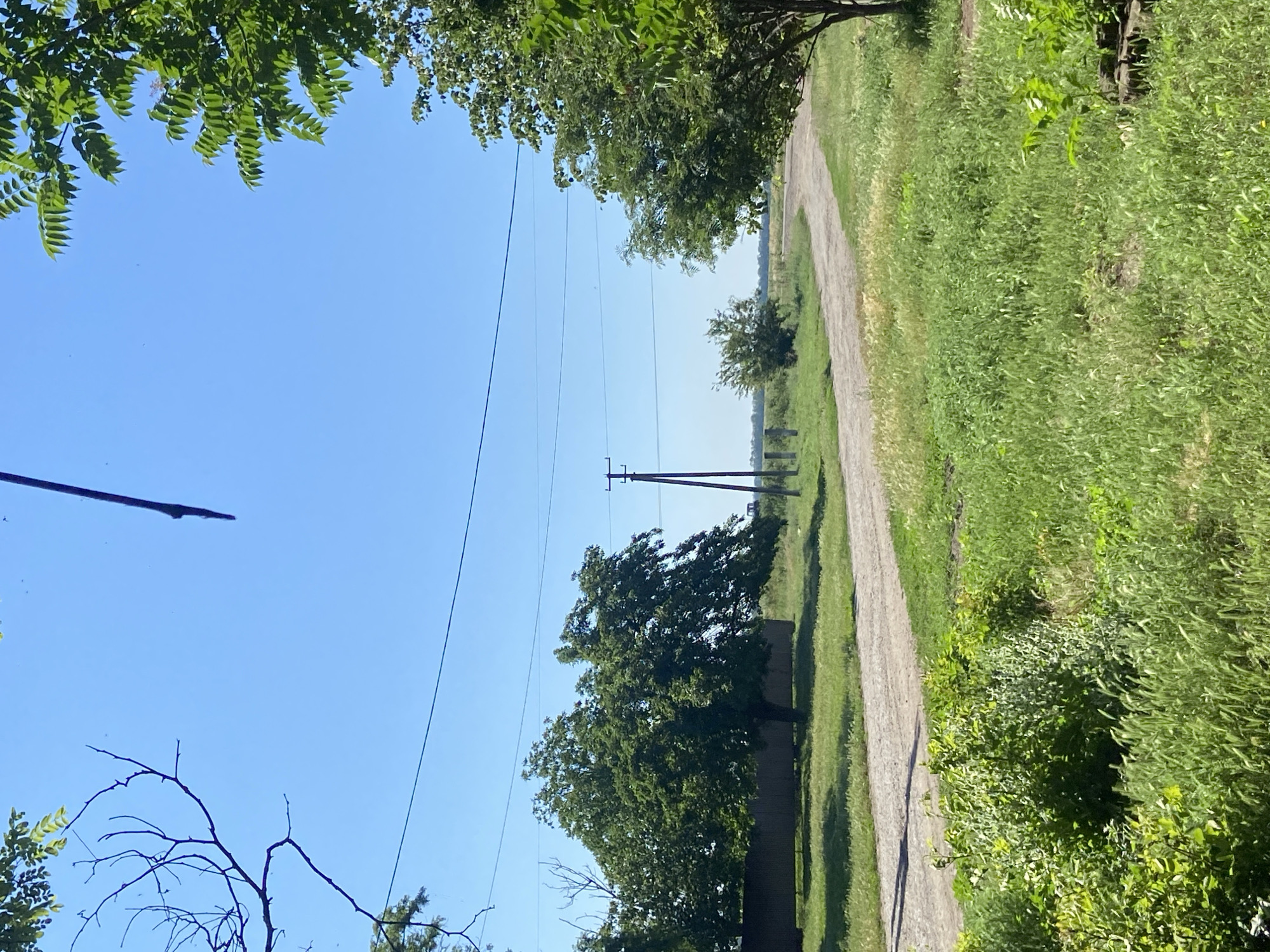 The image depicts a rural road winding through a green landscape under a clear blue sky. On the left, a dark fence runs behind a large, leafy green tree. A telephone pole with crossbars stands further down the road on the right. The road itself is unpaved, appearing to be made of gravel or dirt. Overhanging branches and foliage frame the top and sides of the image, suggesting the presence of trees and vegetation. The scene appears to be an undeveloped area, possibly on the outskirts of a rural settlement, consistent with the description of Taganrogskii, Russia, which is a rural district. No people or animals are visible in the image. The overall impression is one of a peaceful, natural setting.