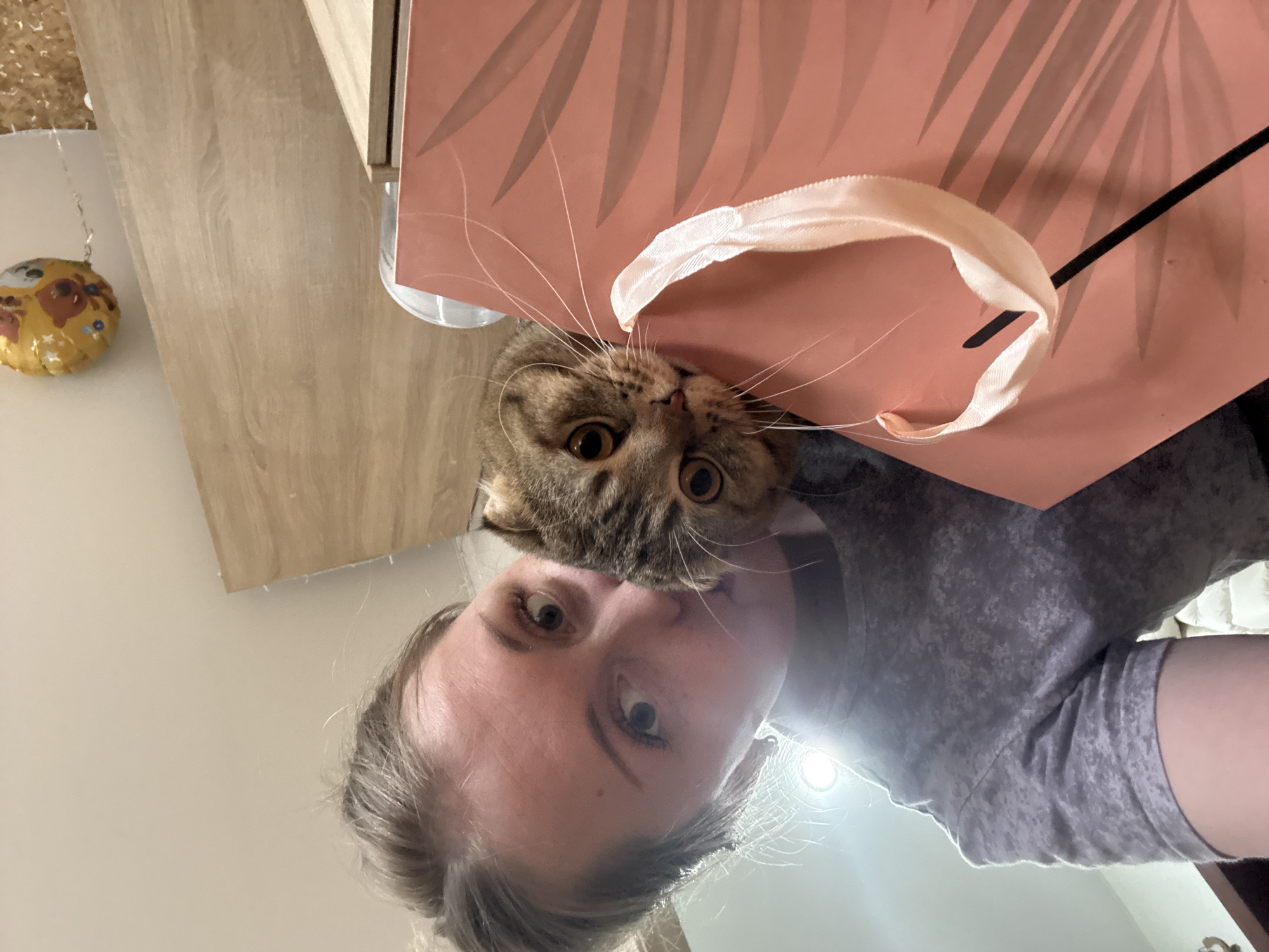A selfie taken at an unknown location depicts a fair-skinned person with light hair and eyes, wearing a gray T-shirt. They are positioned below a brown tabby cat whose face peeks out from behind a pink gift bag with a white ribbon handle. The bag features a subtle leaf pattern. The cat has large, round eyes and visible whiskers. The background shows a light wooden cabinet and a decorative yellow object affixed to a wall. The perspective is looking up, as if the photo was taken from a low angle.