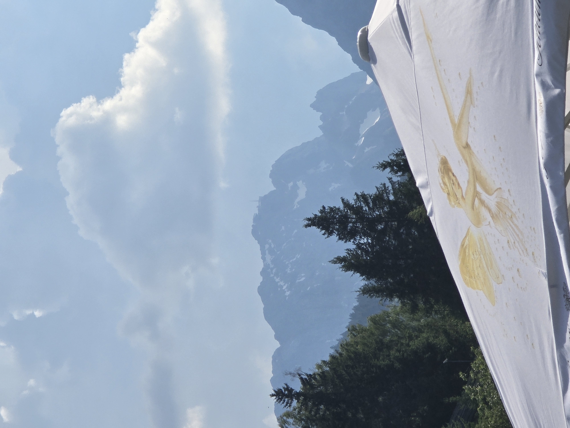 The media file captures an outdoor scene with a focus on a white fabric, possibly a flag or banner, adorned with a stylized illustration of a fairy or mythical creature. The artwork is rendered in shades of gold and brown, with delicate wings and flowing limbs. The fabric is partially obscuring a backdrop of majestic, mist-shrouded mountains, characteristic of a mountainous region like Garmisch-Partenkirchen, Germany. Evergreen trees form a dense band along the base of the mountains, suggesting a forested landscape. The sky is a pale blue, filled with soft, scattered clouds that diffuse the sunlight, indicating it's likely daytime. The overall mood is serene and ethereal, with the natural beauty of the mountains and sky juxtaposed against the artistic representation on the fabric. There is no visible text in the media file.