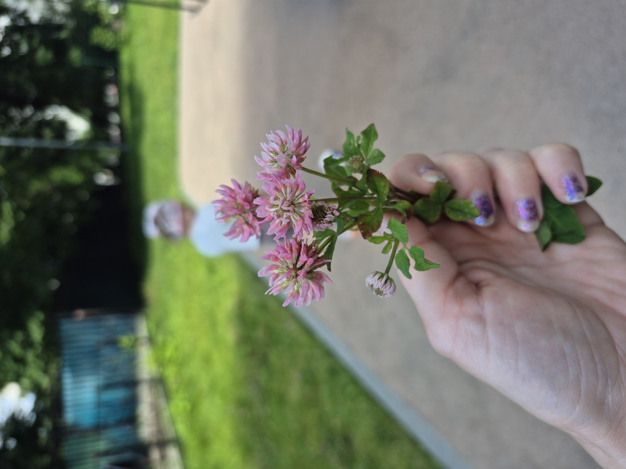 A close-up, shallow depth-of-field outdoor shot focuses on a hand holding a small bouquet of pink clover flowers. The hand, belonging to a person whose face is not visible, has fingernails painted with a glittery purple and pink design. The clover flowers are in various stages of bloom, with some fully open and others still buds.
In the background, a blurred scene unfolds. A grassy area transitions into a light-colored paved pathway. Further back, a child, their face obscured by a light-colored hat, stands in the mid-ground. Behind the child, a long, turquoise-colored metal fence is visible, with lush green trees and foliage beyond it. The overall environment suggests a park or playground setting. The composition and lighting indicate the image was taken during the daytime, likely in the late spring or summer, given the greenery and the casual outdoor atmosphere. No specific landmarks or identifying features of Moscow are discernible from the image.