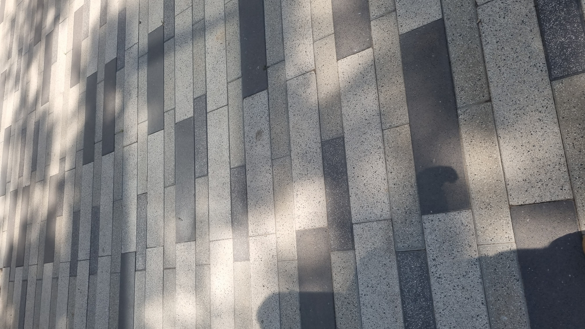 The image depicts a close-up, eye-level view of a modern pedestrian walkway paved with rectangular interlocking tiles. The tiles are laid in horizontal rows, alternating between a light gray speckled finish and a dark gray solid finish, creating a visually interesting pattern. Sunlight casts dappled shadows across the walkway, suggesting it is outdoors and illuminated by natural light, possibly from overhead foliage or structures. There are faint shadows of two individuals visible on the ground, indicating their presence in the scene. One shadow, larger and more defined, is in the lower left quadrant of the image, while another, smaller shadow, is situated in the middle right. The context of Tel-Aviv, Israel, suggests this walkway could be found in a public park, urban plaza, or a commercial area within the city. The overall impression is one of urban design and contemporary outdoor public space.