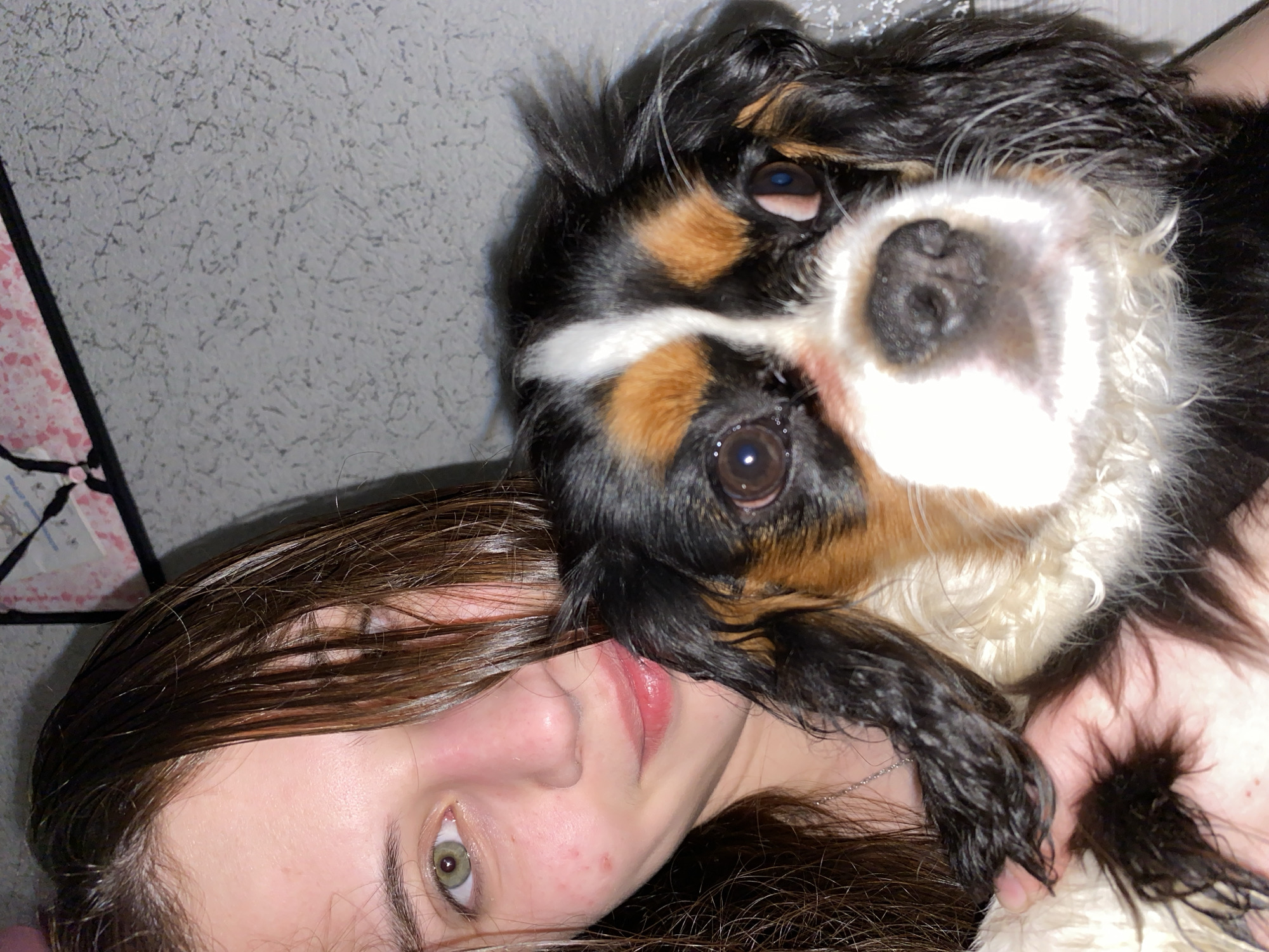A medium shot photograph depicts a woman and a dog together. The woman, seen from the chest up, has light skin, brown hair, and green eyes. The dog, positioned to the upper right of the woman, is tri-colored—black, white, and tan. The dog's face is prominent, with its nose close to the camera. The background consists of a wall with a textured surface. The scene appears to be indoors, with additional items such as a patterned fabric and a dark frame visible in the upper left corner. The location in Votkinsk, Russia is unknown.