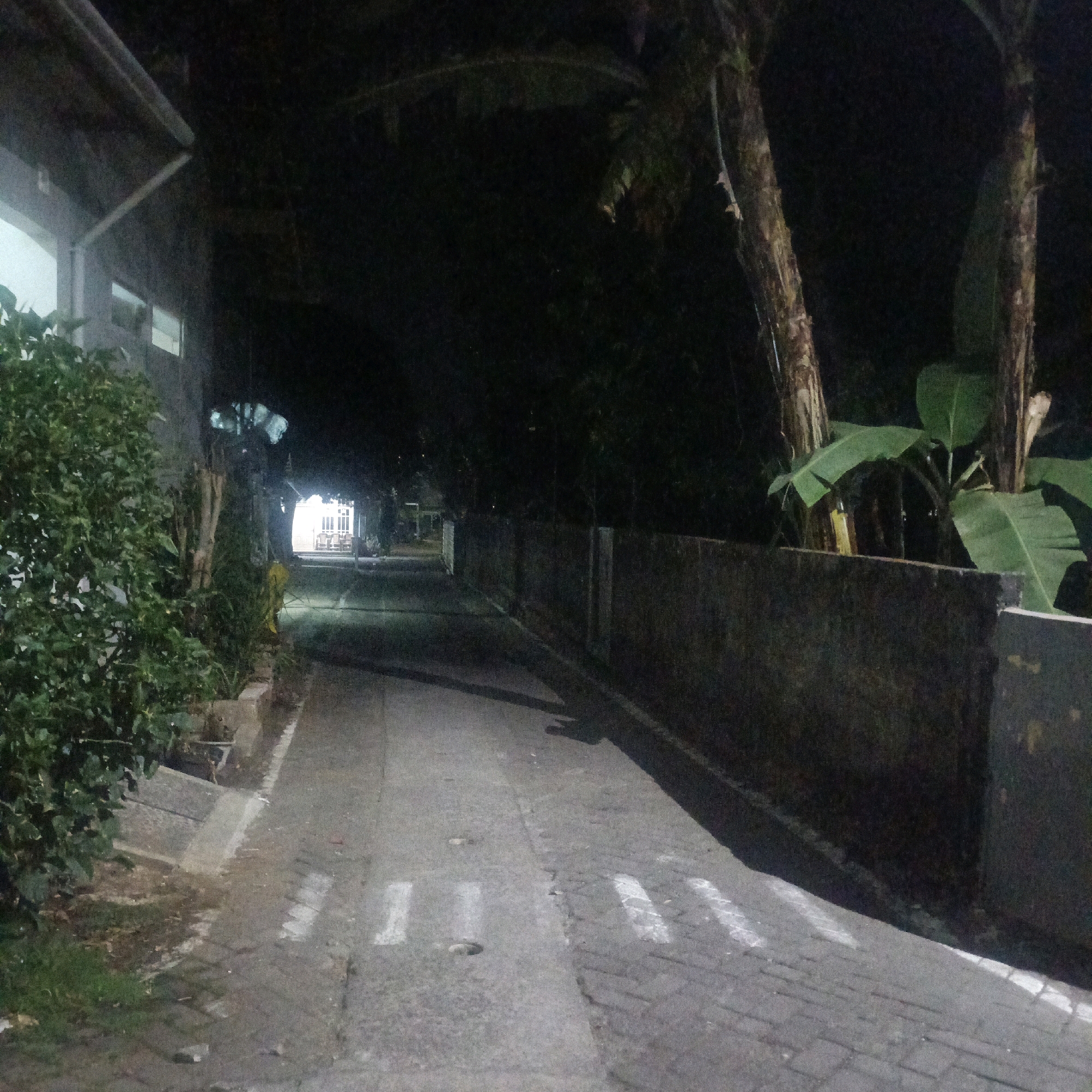 The image shows a dimly lit paved pathway at night, likely in Salatiga, Indonesia, bordered by a low stone wall and lush green foliage on the left. The pathway has white markings on its surface, suggesting it might be a pedestrian crossing or a designated lane. On the right, the stone wall extends into the darkness, with large banana leaves and tree trunks visible behind it. In the distance, a building with illuminated windows and doors is partially visible. The overall impression is of a quiet, residential or semi-rural area at night.
