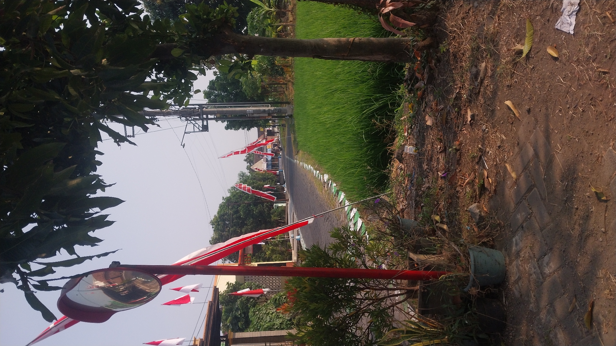 The image depicts a street scene in Ganting, Indonesia, likely during a period of celebration or national pride, indicated by the numerous red and white flags displayed along the road. In the foreground, a curved mirror, possibly a traffic mirror, is mounted on a red pole. The mirror reflects the surrounding environment, including some of the flags and trees. Several potted plants, some appearing dried out, are situated near the mirror.
The road itself is paved with interlocking bricks. Along one side of the road, a lush green field of rice paddies stretches into the distance. The other side of the road is lined with buildings, trees, and more flags. A power pole with electrical wires is visible in the mid-ground. The sky is clear and light, suggesting daytime. The overall impression is of a rural or semi-rural setting in Indonesia, decorated for a special occasion. No people are clearly visible in the image.