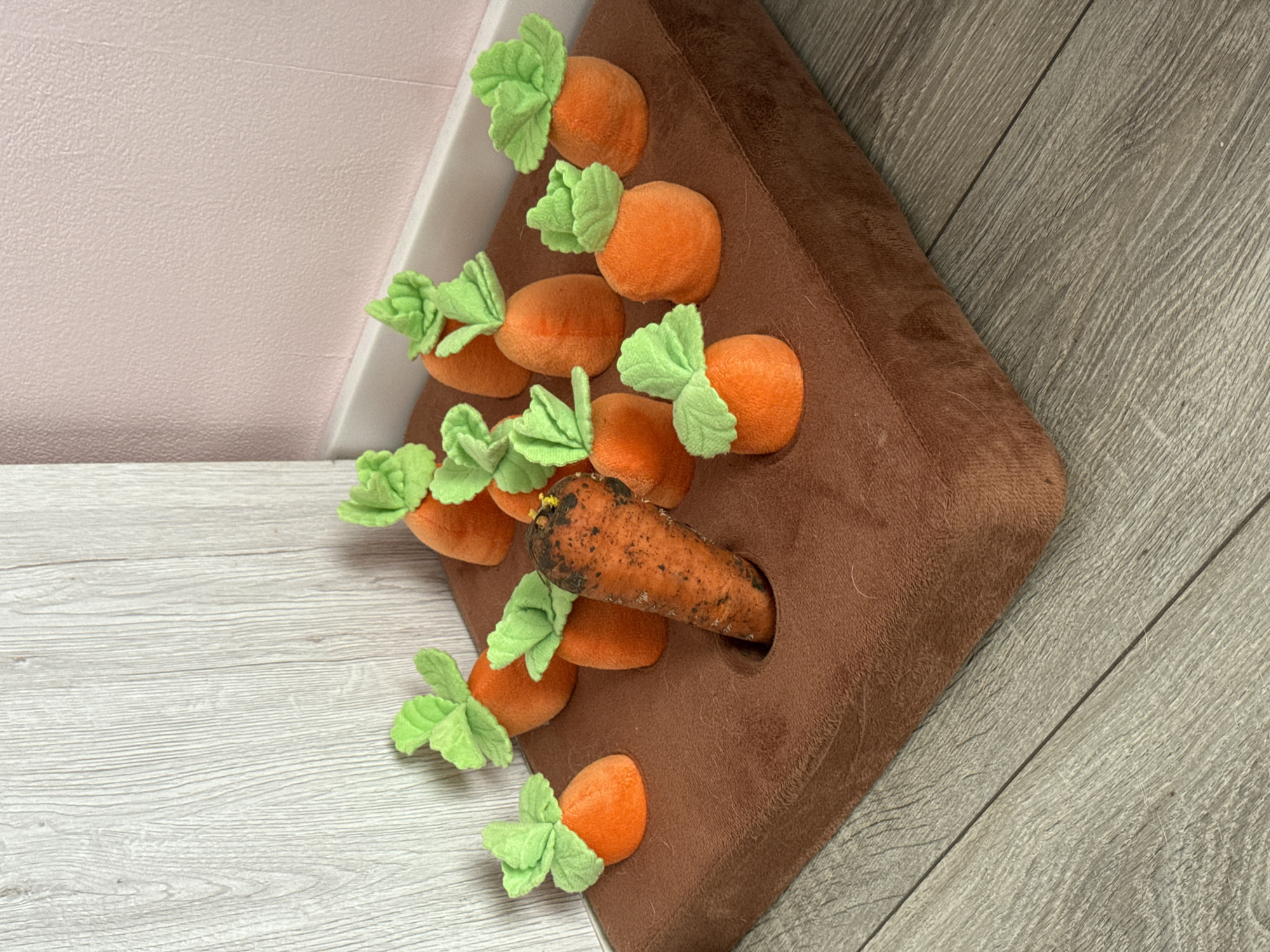 The image depicts a close-up of a rectangular, brown plush object with several stuffed carrots attached. The stuffed carrots are orange with green leafy tops. A single real carrot is present, partially inserted into a hole in the brown plush object. The scene appears to be indoors, with a light-colored, wood-grain surface and a pinkish wall with white trim in the background. There is no evidence to indicate this image was taken in Khapry, Russia.