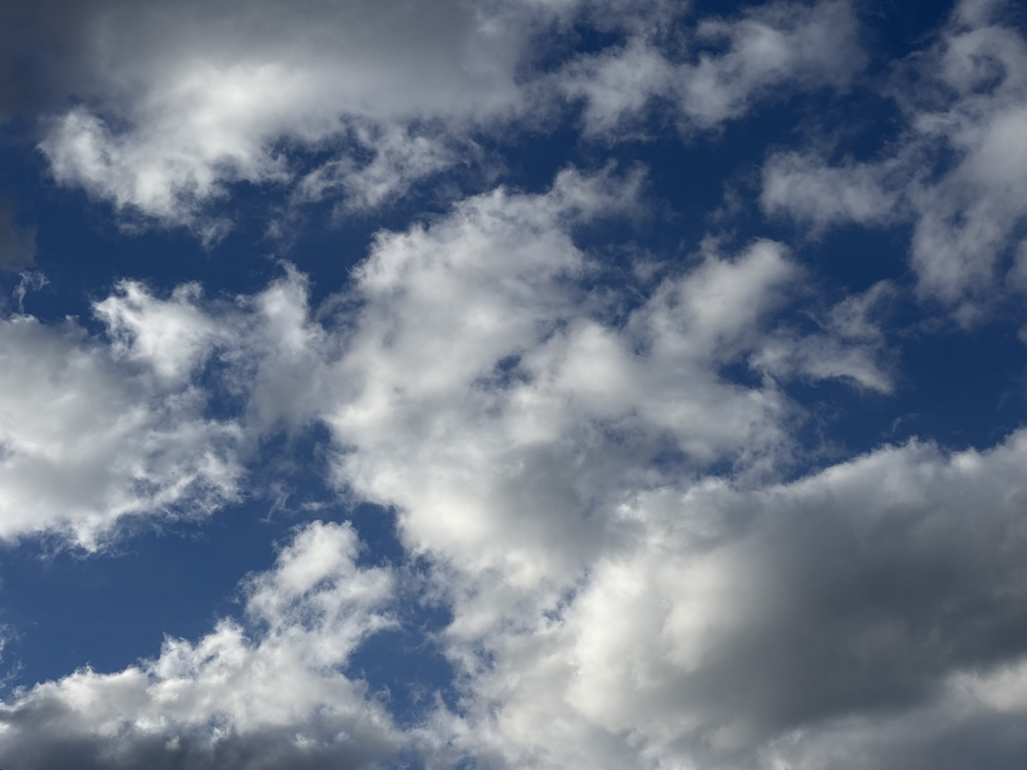 The image depicts a sky filled with clouds. The clouds range in color from bright white to dark gray, indicating varying degrees of sunlight and thickness. Patches of blue sky are visible between the clouds. The scene appears to be an outdoor shot of the sky, location of Unknown, Unknown.
