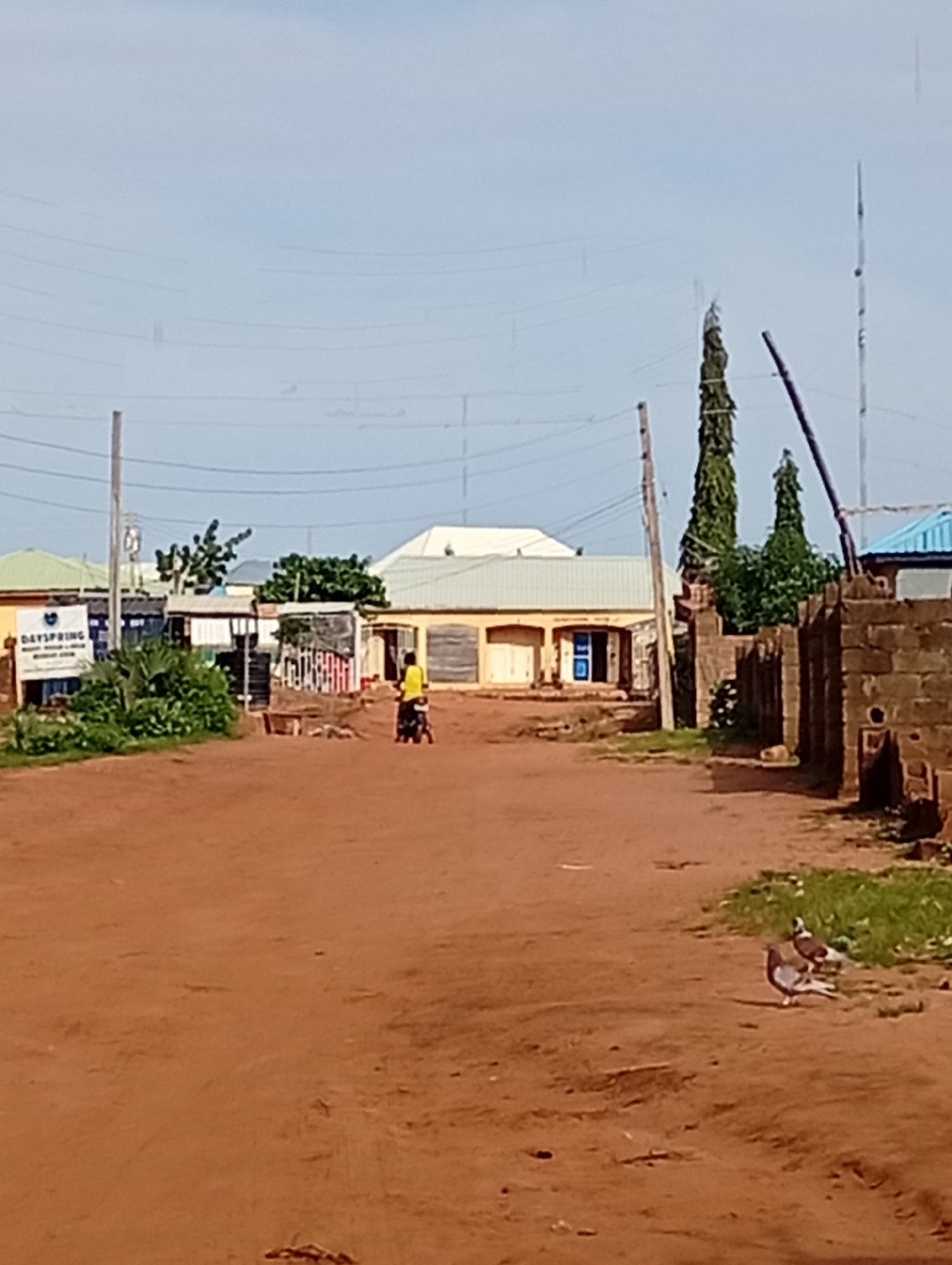 The image depicts a street scene in Tumfure, Nigeria, characterized by red dirt roads and buildings constructed from various materials including concrete blocks and corrugated metal. A person on a motorcycle, wearing a yellow shirt, is traveling down the dirt road. Two pigeons are visible in the foreground, standing on the dirt. Power lines stretch across the sky, supported by wooden poles. The buildings on either side of the street vary in architectural style and condition, with some appearing to be shops or residences. Green vegetation is present in scattered areas, including bushes and trees. The overall atmosphere suggests a typical urban or semi-urban environment in Nigeria.