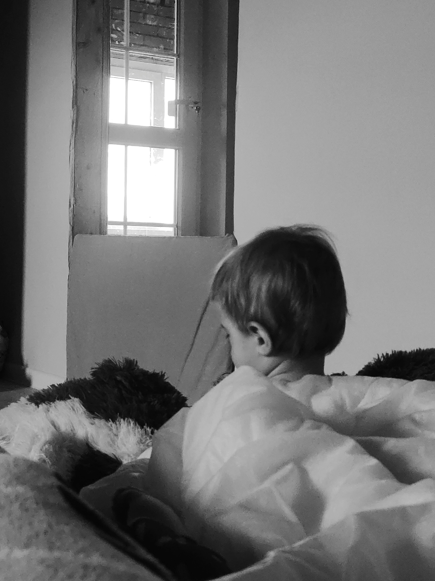 A black and white photograph shows a child, seen from the back, sitting in bed near a window. The child has short hair and is covered by a white blanket, with a dark, fluffy pillow behind them. The window, located to the left, has a wooden frame and multiple panes, allowing light to stream into the room. The rest of the room is in shadow. The photograph appears to be taken indoors.
