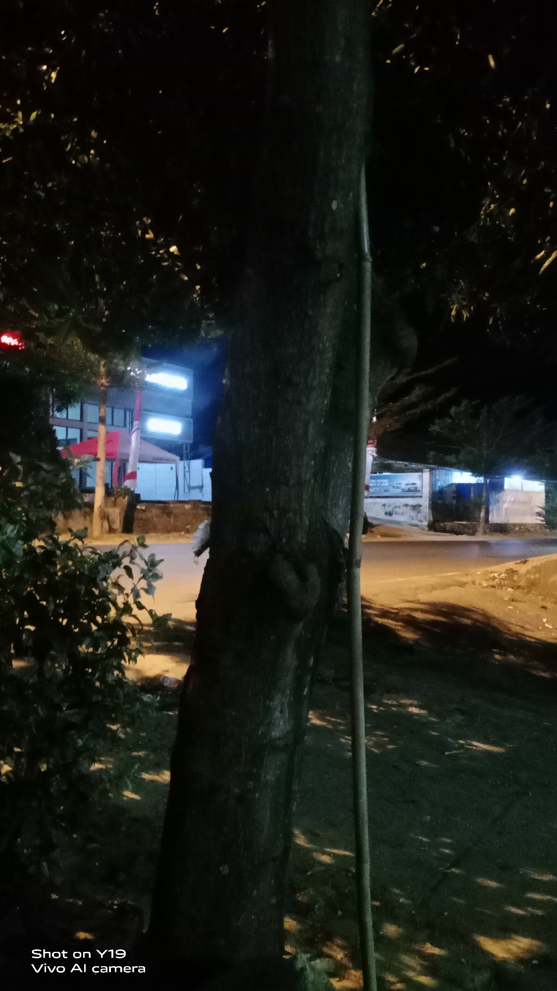 The image shows a tree trunk in the foreground, with a narrow vertical bamboo pole leaning against it. In the background, across a paved road, are buildings with illuminated windows. The scene appears to be at night or in low light conditions, with some artificial lighting from the buildings casting shadows on the ground. The lower left corner of the image contains a watermark that reads "Shot on Y19 Vivo AI camera." The environment suggests an urban setting, likely a street in Kolaka, Indonesia, given the watermark's implication of a location where this phone model is commonly used and the overall context.
