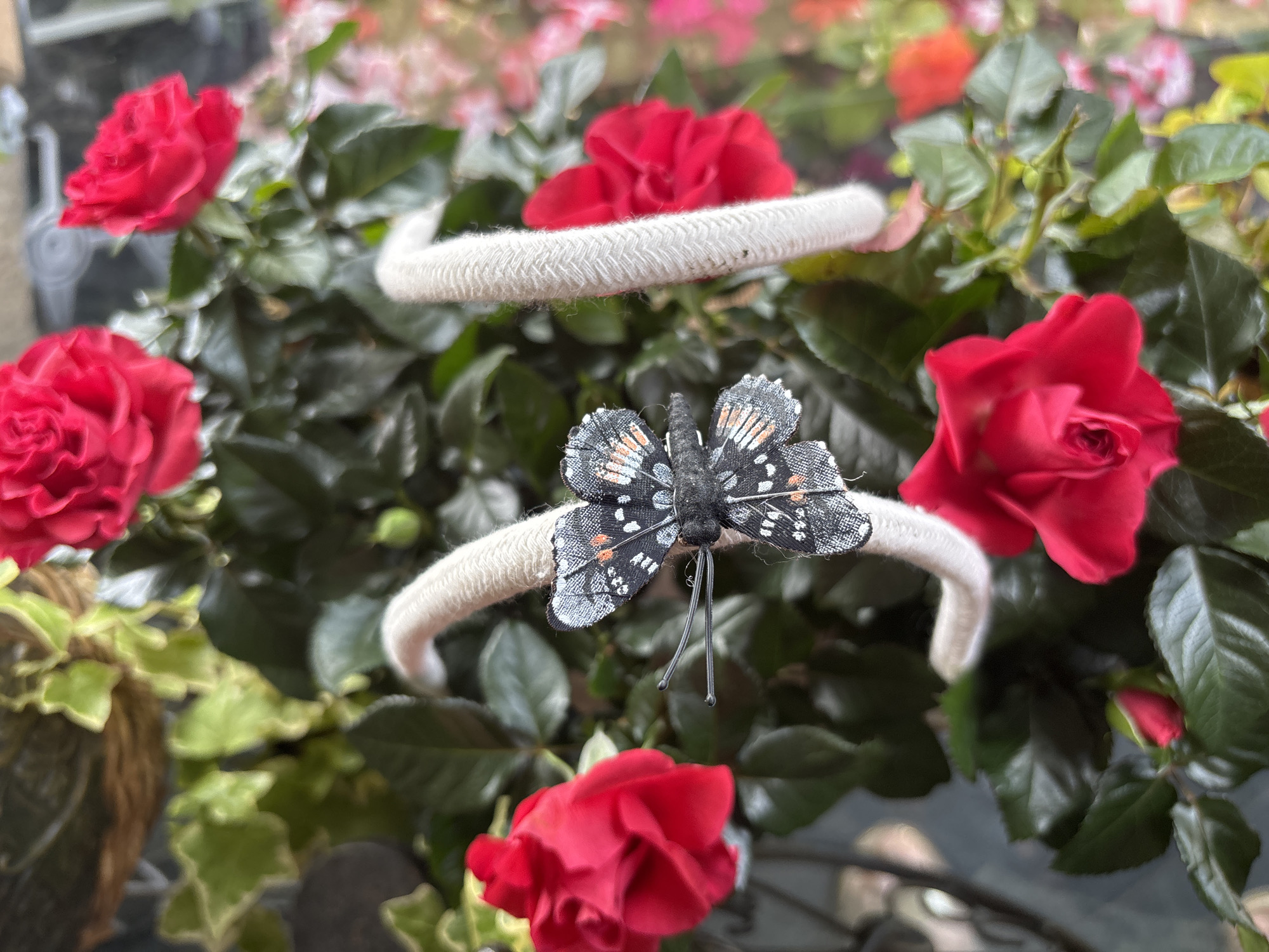 A close-up, eye-level shot captures a decorative black butterfly with intricate gray and orange markings perched on a woven white rope. The butterfly is positioned in the center of the frame, its delicate antennae extending outwards. The rope curves through the composition, creating a sense of depth. Surrounding the butterfly and rope are vibrant red rose blossoms, some fully open and others budding, interspersed with lush green foliage. The background is softly blurred, with hints of more flowers and greenery, suggesting an outdoor setting. The lighting is bright, highlighting the textures of the petals, leaves, and the woven rope. There is no indication of a specific location within the city of Sofia, Bulgaria. The scene is static and peaceful, with no human presence or interaction.
