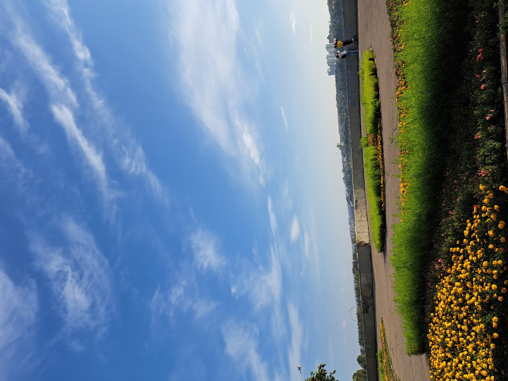The image depicts a scenic view from a park in Irkutsk, Russia, likely overlooking the Angara River. The foreground is dominated by vibrant flowerbeds filled with yellow marigolds and interspersed with green foliage. Paved pathways wind through the park, suggesting a public space designed for recreation.
In the middle ground, a concrete wall forms a barrier, beyond which lies a cityscape with buildings and greenery. Two individuals are visible near the wall, one appearing to use a monocular, perhaps for birdwatching or enjoying the panoramic view. The sky above is a brilliant blue, adorned with wispy white clouds, indicating fair weather. A distant Ferris wheel can be seen on the horizon, adding to the urban landscape. The overall impression is one of a peaceful and picturesque urban park setting on a clear day.