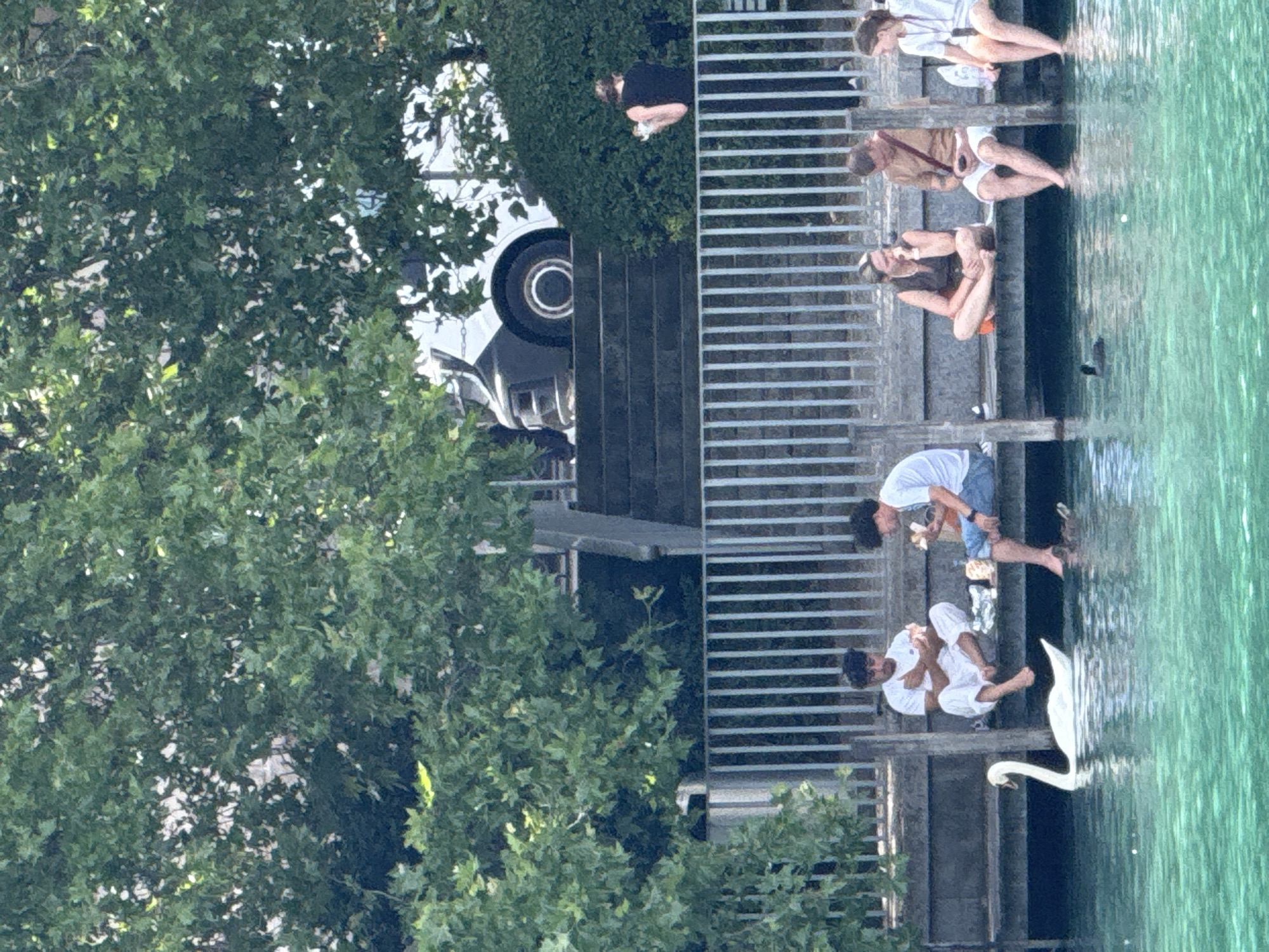 A group of people are seated on a wooden pier next to a body of bright green water, with a swan swimming in the foreground. In the background, a white van is parked on a stone staircase surrounded by lush green trees and bushes. The pier is bordered by a metal railing. The individuals appear to be relaxing and eating, with some dipping their feet into the water. One person in the background, wearing a black top and pants, is standing near the bushes. The scene suggests a sunny day in Zurich, Switzerland, possibly at a park or recreational area by the water.