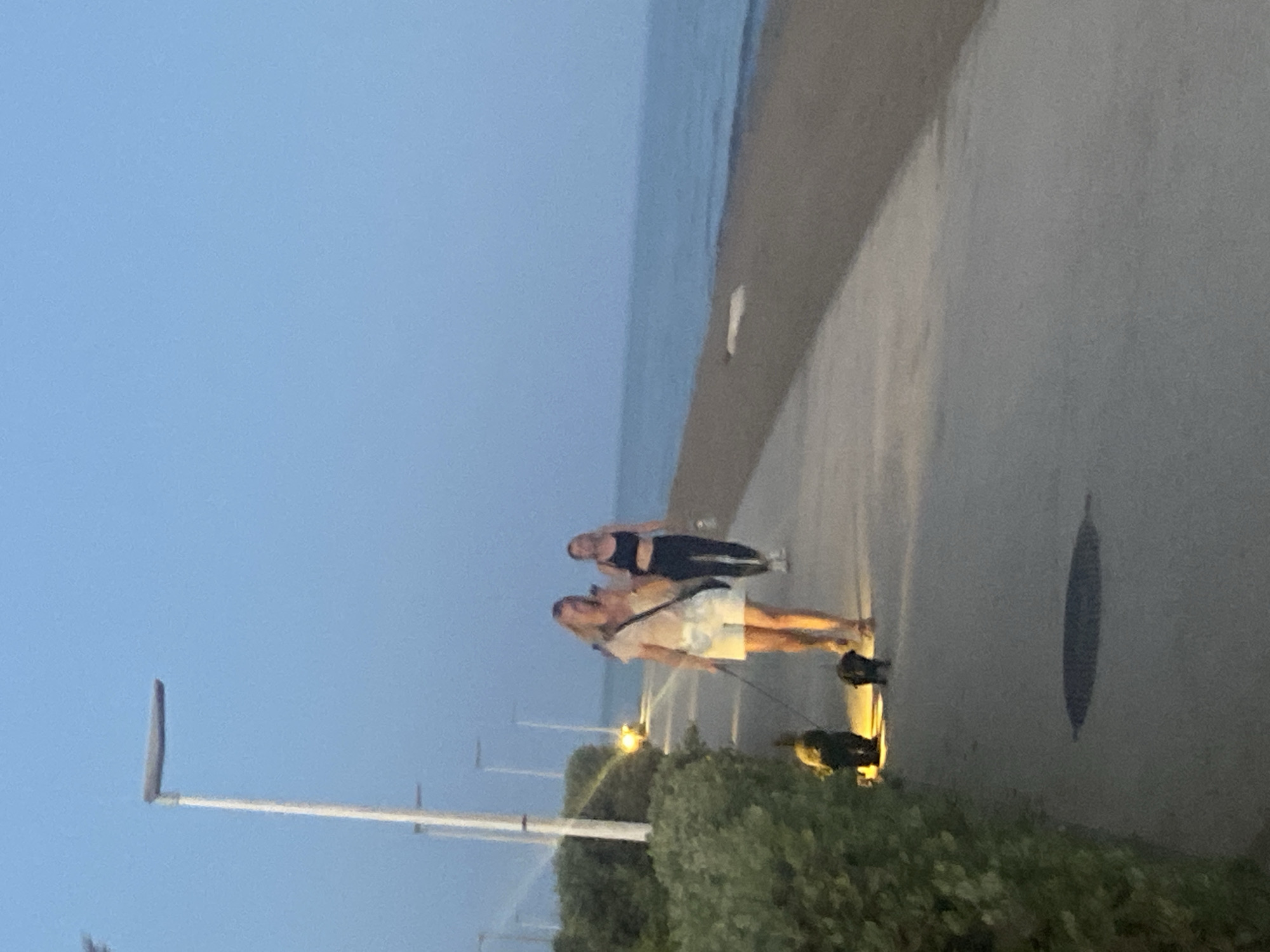 Two women are walking along a paved walkway next to a sandy beach, with the sea in the background. The woman in the foreground is wearing a light-colored top and white shorts and is walking two small dogs on leashes. The second woman, further back and to the right, is wearing a dark top and dark leggings. The scene appears to be set at dusk, with streetlights visible in the background, suggesting an urban or developed coastal area. The walkway is bordered by dense green bushes on the left. The sky is a clear, pale blue, indicative of twilight. This location is consistent with the promenade area in Estepona, Spain, which features a similar paved walkway, beach, and decorative bushes along the coastline.