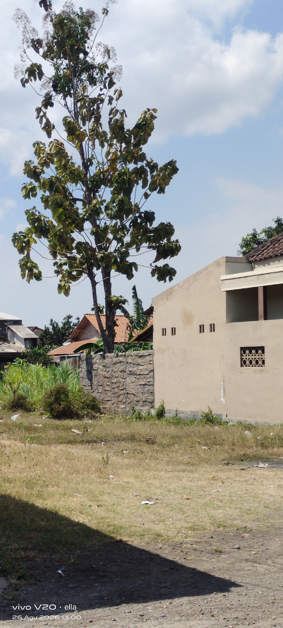 The image depicts an outdoor scene in Simo, Indonesia, featuring a tall tree with sparse foliage in the foreground, casting a shadow on the ground. To the right, a light beige building with a balcony is visible. A textured stone wall separates the building from the foreground. In the background, more buildings with tiled roofs and lush green vegetation, including banana trees, can be seen. The sky is partly cloudy, with blue skies and white clouds. The ground in the foreground is covered with dry grass and some scattered debris. The image is dated August 26, 2026, 13:00, and is identified as being taken with a "vivo V20".