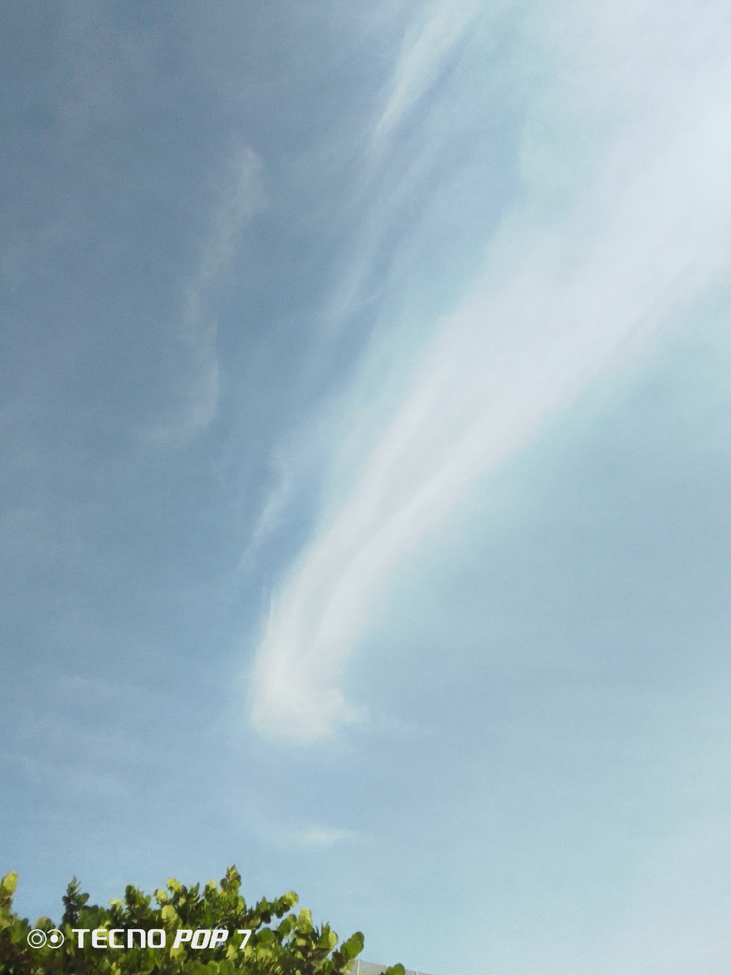 The image shows a view of the sky above Pedro González, Venezuela. The sky is a pale blue with white, wispy cirrus clouds. The bottom of the image shows green foliage from trees. The bottom left corner has the text "TECNO POP 7."