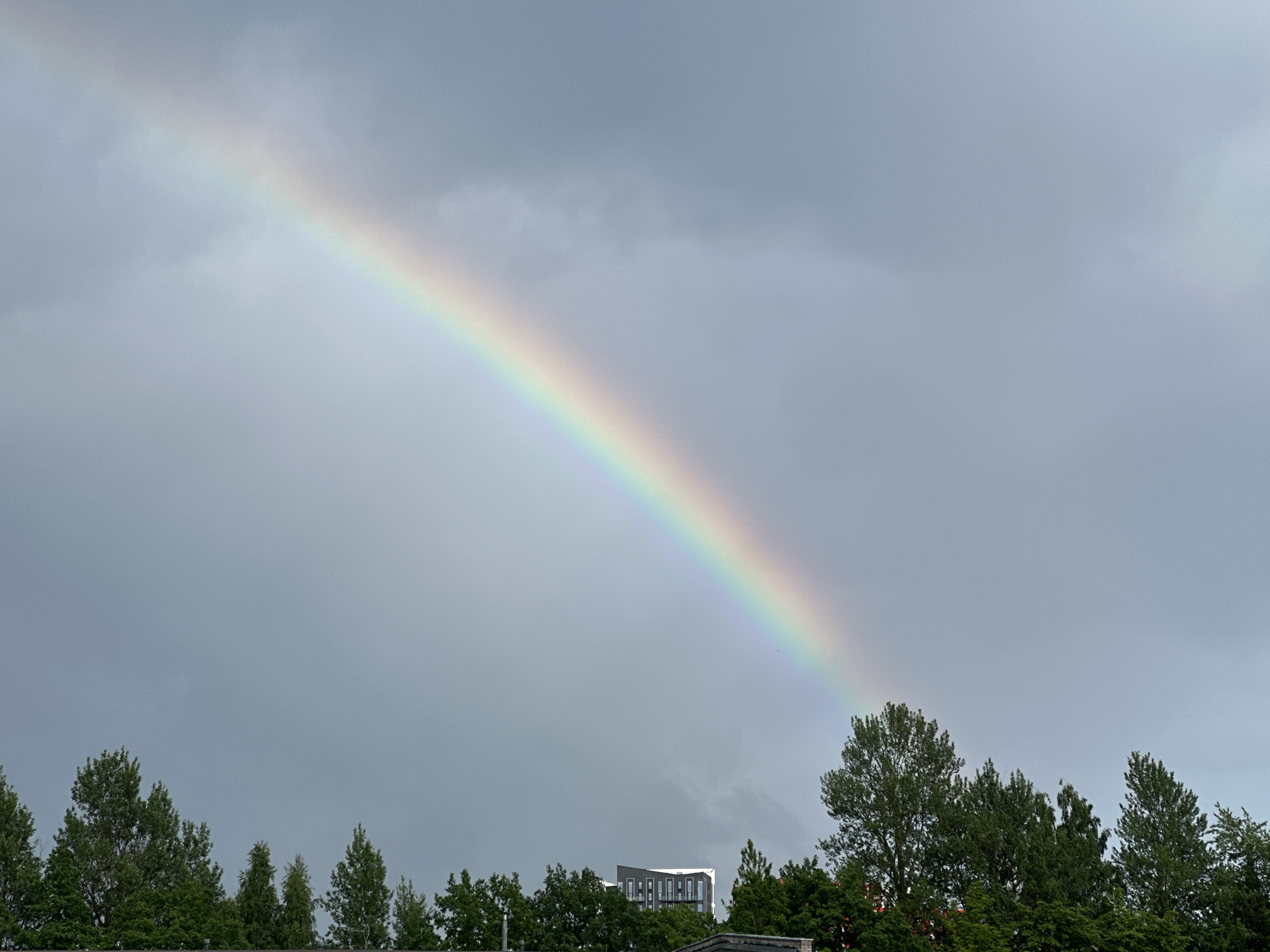 A rainbow arcs across a grey, cloudy sky, with the colors of the spectrum visible. The rainbow starts in the upper left and extends diagonally towards the lower right of the image. Below the rainbow, a line of green trees stretches across the bottom of the frame, with the tops of some buildings peaking through. One building, in the center, has a modern, angular design with numerous windows. The scene appears to be in an urban or suburban setting, possibly in Tallinn, Estonia, given the architecture and vegetation. There are no people visible in the image.