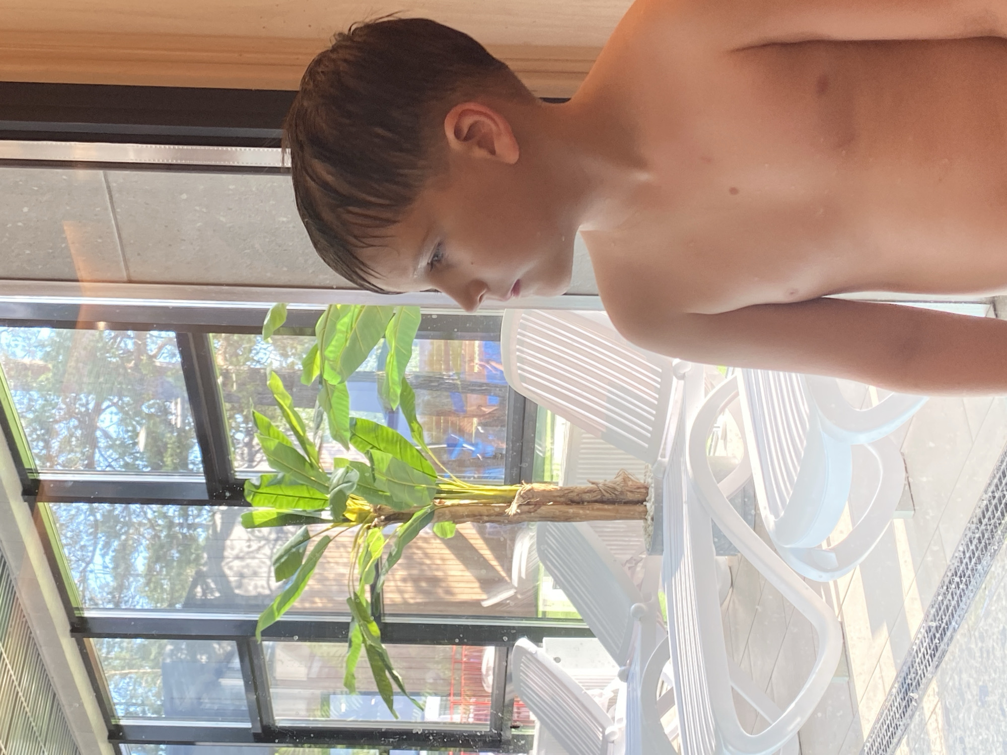 A young boy, his skin damp, stands to the right of the frame, looking out of a large window. He is shirtless and has dark, wet hair. Behind him, through the window, several white lounge chairs are visible, along with a potted plant and trees. The setting appears to be an indoor pool or spa area, likely in Votkinsk, Russia, given the context. The lighting suggests it is daytime, with sunlight streaming through the window.