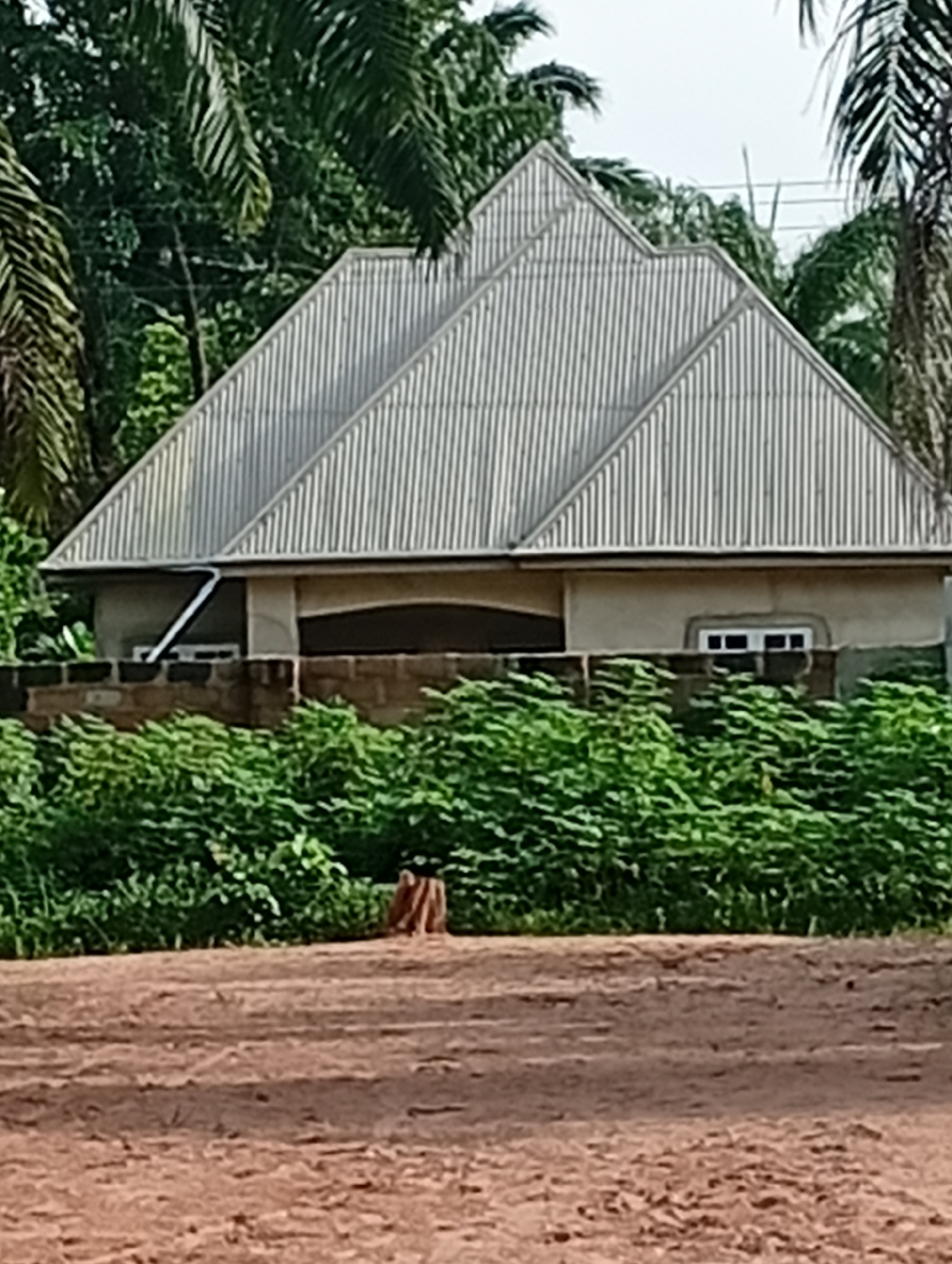 The image depicts a house with a distinct stepped, corrugated metal roof, characteristic of some architectural styles in Nigeria. The house itself appears to be a single-story structure with light-colored walls, and it is partially obscured by a low brick wall and dense green foliage in the foreground. A dark gutter runs along the edge of the roof, directing water away. Two windows are visible on the front facade, one with a white frame and multiple panes, and another larger, arched opening that is mostly in shadow.
The setting is lush and green, with tall palm trees and other tropical vegetation surrounding the house. The ground in the immediate foreground is a reddish-brown, dusty earth, possibly a path or unpaved area. In the middle ground, a short, thick piece of wood or debris is visible amongst the plants. The overall impression is one of a rural or semi-rural environment in a warm climate.
The lighting suggests it is daytime, possibly overcast or late afternoon, as there are no harsh shadows. The sky is a pale white, indicating diffused light or a bright sky not directly captured. There is no visible text in the image. The scene is static, with no active event taking place; it is a simple, observational shot of a house and its surroundings. The location context of Adda, Nigeria, further supports the visual cues of tropical vegetation and architectural style.