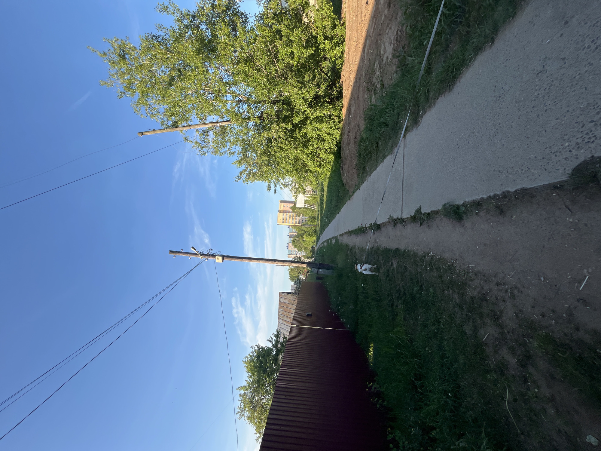 The image depicts a sidewalk scene in Chaikovsky, Russia. A narrow paved path extends into the distance, bordered by grass and soil. A white dog is present on a leash alongside the path. A dark metal fence lines part of the foreground, transitioning into trees and utility poles with overhead wires. In the background, buildings are visible under a blue sky with scattered clouds.