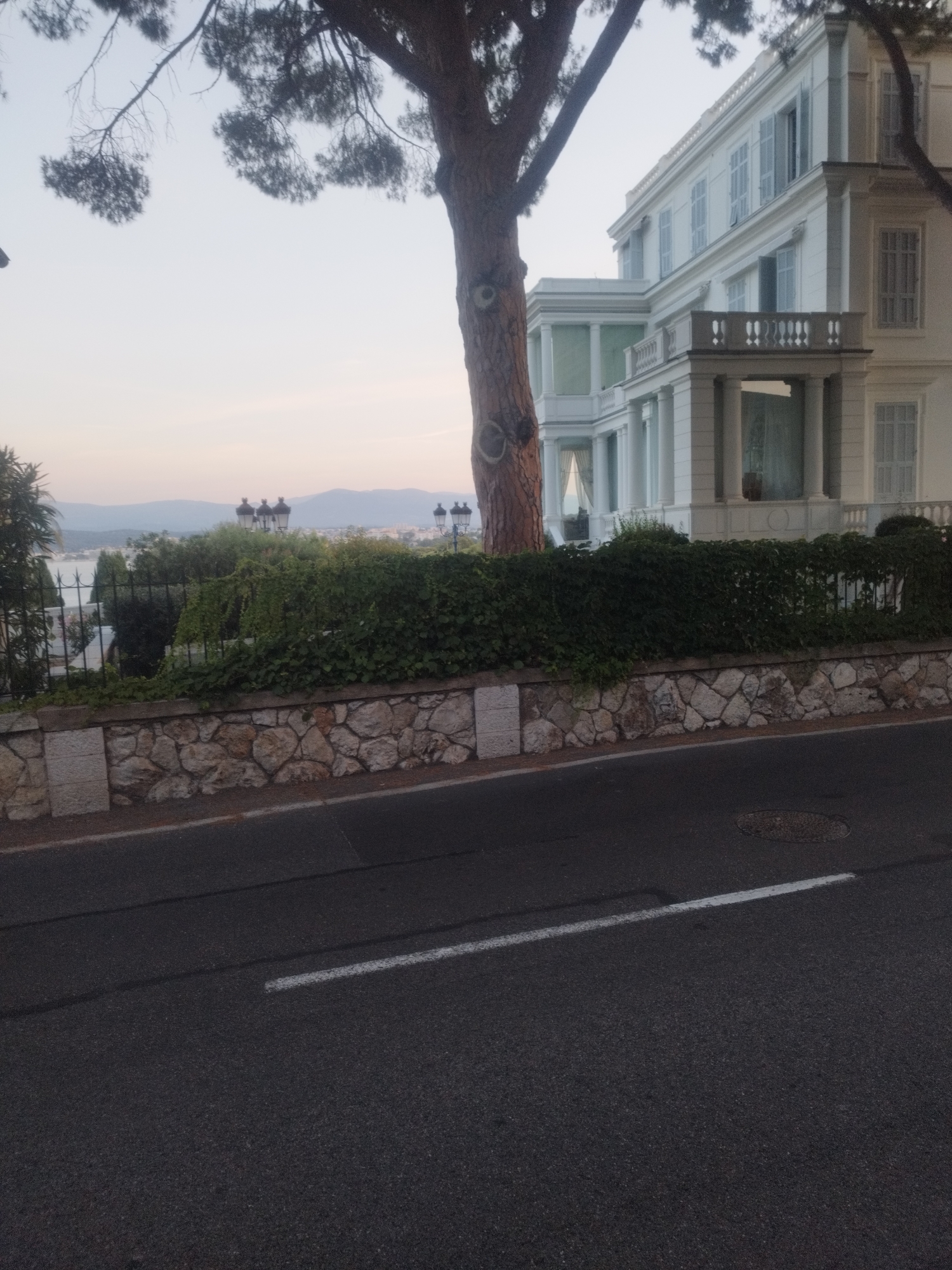 A tree is in the foreground with a large white building in the background. The building has a balcony and is surrounded by trees and greenery. The scene appears to be in Antibes, France.