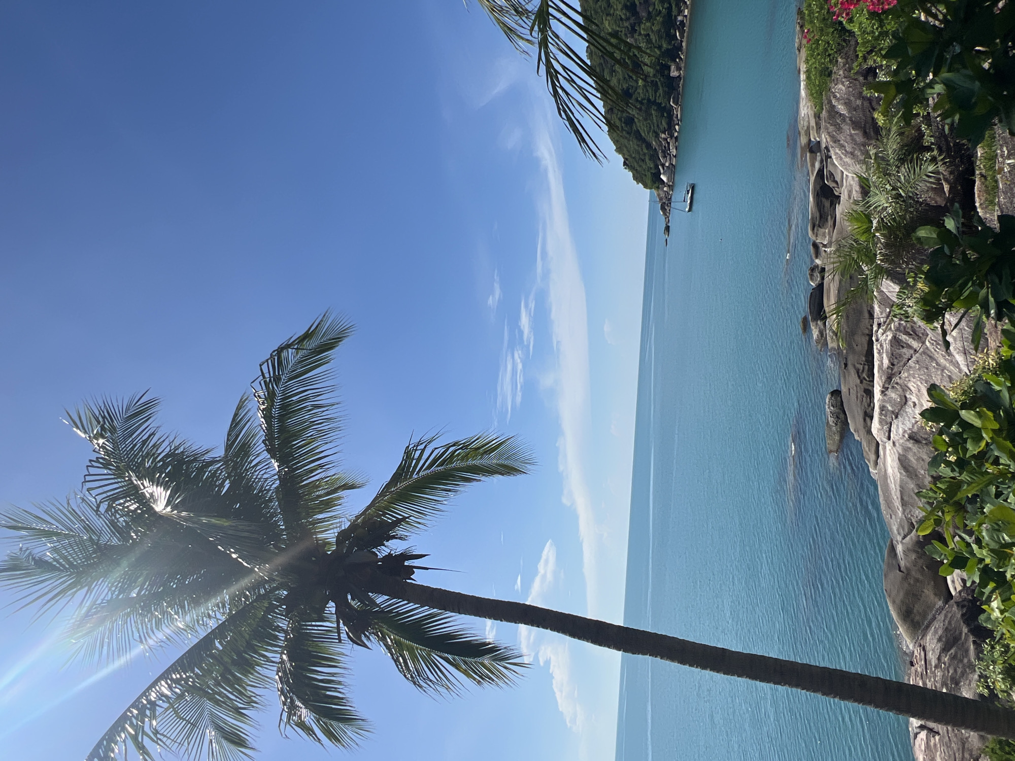 A scenic view of a tropical coastline is depicted. In the foreground, a tall palm tree with a rough, brown trunk leans to the left, its green fronds reaching upwards. The sun shines brightly, creating lens flares and highlighting the texture of the palm leaves. The middle ground features a calm, turquoise ocean, its surface rippled by a gentle breeze. Large, dark grey rocks are scattered along the shoreline, some partially submerged in the water. In the distance, a green, densely vegetated hillside slopes down to the sea. A white sailboat is anchored in the bay. The sky is a clear, vibrant blue with a few wispy white clouds. The scene appears to be located in Baan Chaweng Noi, Thailand, a coastal area known for its natural beauty.