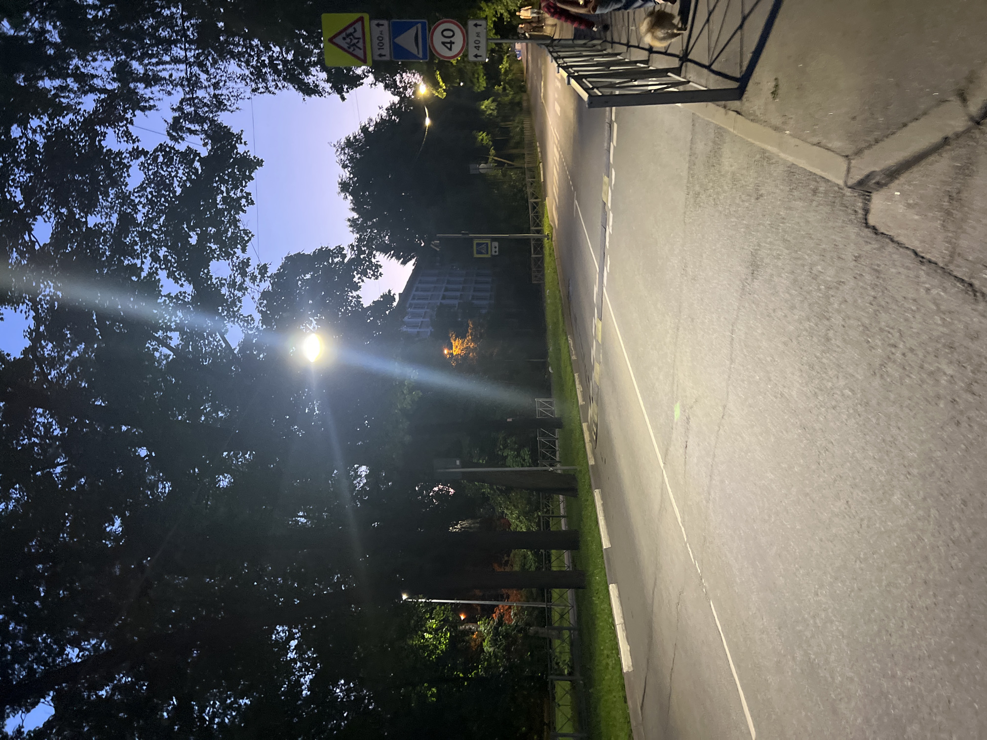 The image depicts an urban street scene at dusk or early night in an unknown city in Russia. The sky exhibits a gradient of deep blue to light purple, and the environment is illuminated by artificial streetlights, one of which prominently casts a bright glare and lens flare near the center of the frame.
On the left side of the scene, a line of mature, dark-leafed trees stands between the asphalt road and a grassy area, which is partially separated by a low metal fence. Several streetlights are visible on this side, with one further back casting a yellowish glow on the foliage. The road, an asphalt surface, shows visible cracks and is marked by a solid white line along its left edge. Further down the road, a pedestrian crosswalk with white stripes and multiple dark speed bumps are discernible. A faint green marking is present on the road surface towards the middle-right.
The right side of the image features a concrete sidewalk, separated from the road by a curb and a dark metal railing that runs parallel to the street. On the sidewalk, two individuals are walking away from the viewer; one person, partially visible in the lower right, appears to be wearing a plaid garment and is accompanied by a small, fluffy, light-brown dog on a leash. A pole on the right supports multiple vertically stacked road signs: a yellow triangular sign with two walking figures (pedestrian crossing or children ahead), a blue rectangular sign indicating a speed bump, and a white circular sign with a red border displaying "40" (speed limit 40 km/h). Each of these signs is accompanied by a white rectangular sign below it with an upward arrow and a distance (e.g., "100м↑", "40м↑"), indicating distances to the respective conditions. Dark trees and foliage line the right side beyond the sidewalk. In the background, behind the trees on the left, a multi-story building with multiple windows is partially visible.