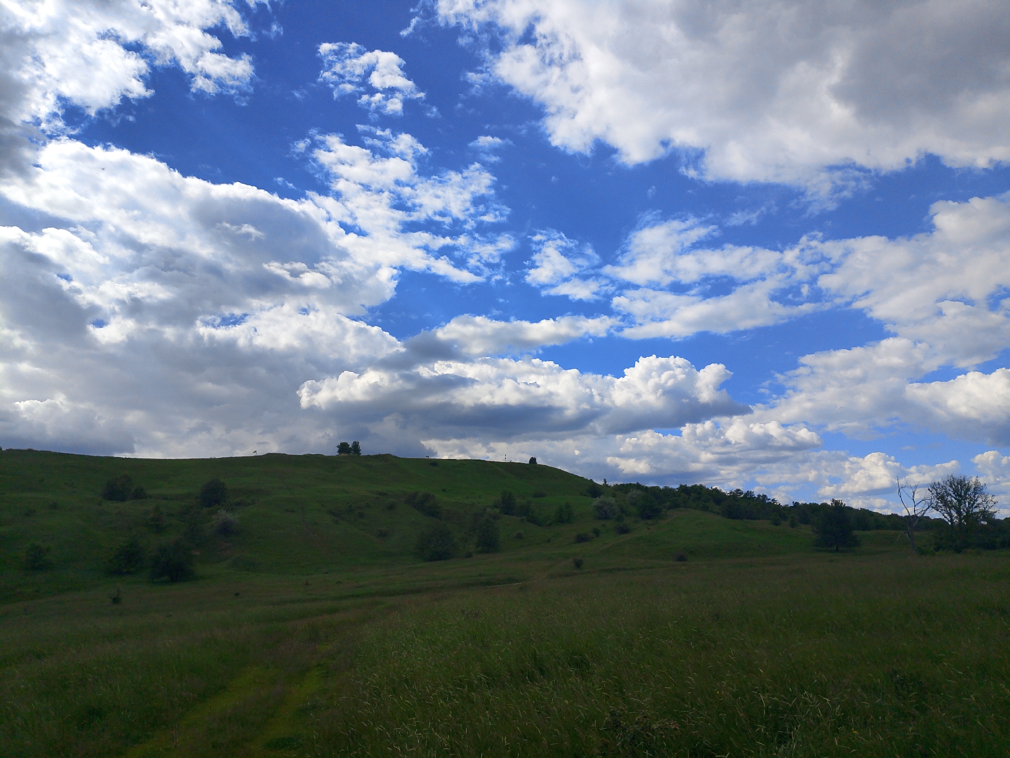 The image depicts a rural landscape under a partly cloudy, blue sky. The foreground is dominated by a field of tall green grass. A path is faintly visible through the grass, leading towards a gently sloping green hill in the middle ground. The hill is dotted with small trees and bushes. The horizon line is defined by the top of the hill. The sky is filled with a mix of fluffy white clouds and patches of blue. The location is not identified.