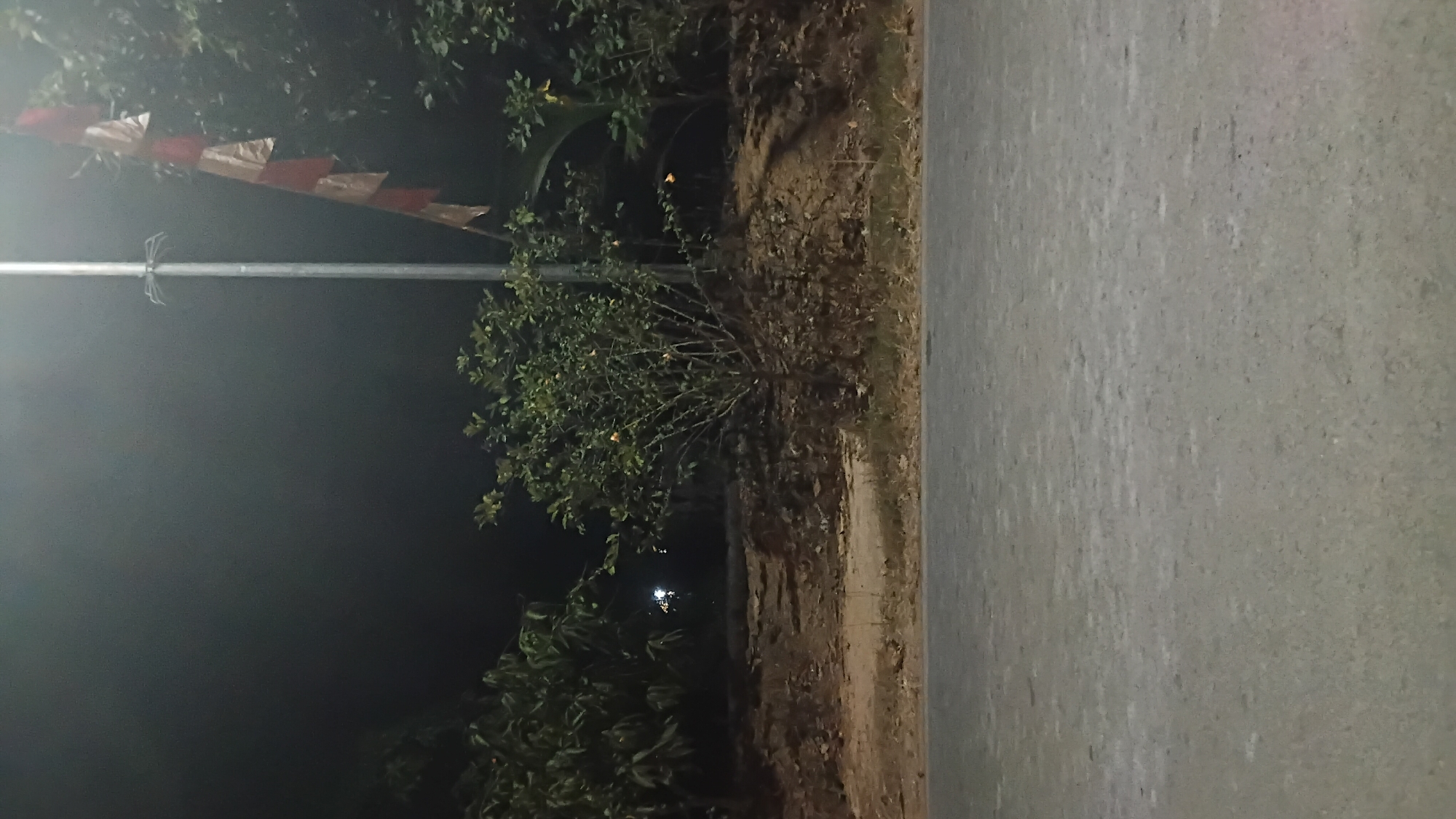 The image captures an outdoor scene at night, likely in Prabumulih, Indonesia, given the Indonesian flag displayed. In the foreground, a paved road or pathway runs horizontally across the frame, its surface appearing somewhat textured. Beyond the road, a dirt embankment is visible, covered with dry vegetation and a small, leafless tree. A taller tree with green foliage stands to the left. A metal pole, possibly a lamppost, rises from behind the embankment, adorned with a string of triangular flags in red and white, characteristic of the Indonesian national flag. The background is dark, suggesting nighttime, with some distant lights faintly illuminating the scene. The overall impression is that of a quiet, possibly rural or suburban area at night, with the Indonesian flag indicating a national context.