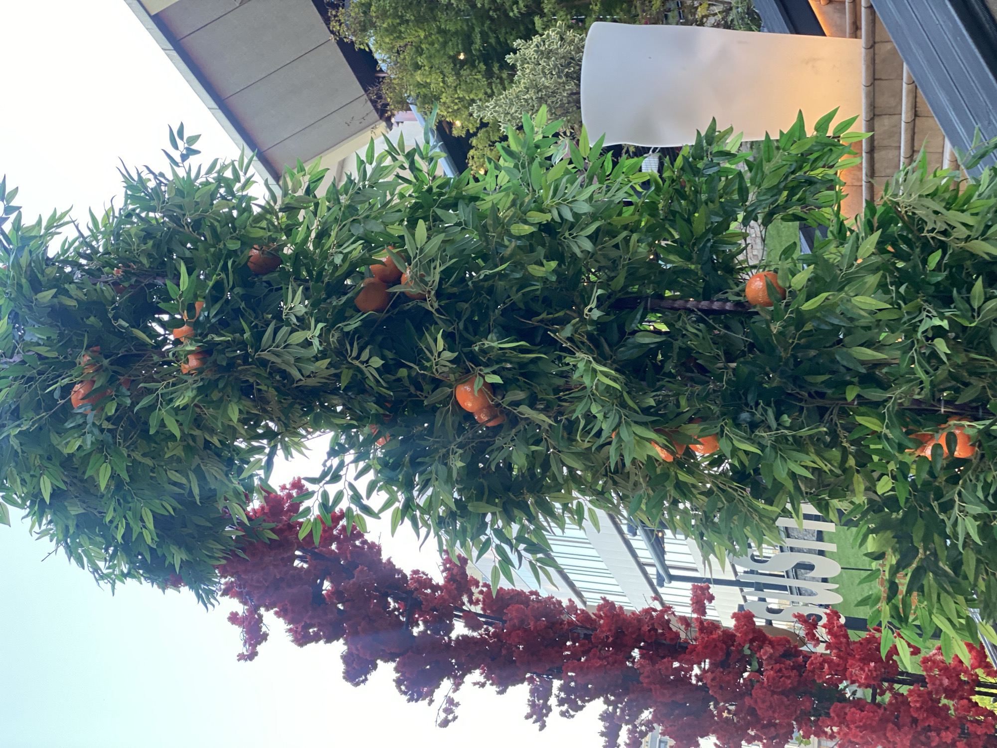 The image depicts an outdoor scene with artificial greenery and a prominent illuminated structure in the background. Two tall, artificial trees dominate the foreground. The tree on the left is adorned with numerous small, deep red blossoms, creating a dense, vertical display. To its right, a taller artificial tree is laden with vibrant orange fruits, resembling tangerines or small oranges, interspersed with lush green leaves.
Behind the trees, a modern building with reflective windows is visible. To the far right, a tall, translucent, white structure is illuminated from within, casting a warm glow. The background also shows hints of other greenery and architectural elements, suggesting an urban setting, possibly a restaurant or a commercial establishment. The lighting suggests it might be late afternoon or early evening. The image does not contain any people or signs indicating a specific location in Chișinău, Moldova.