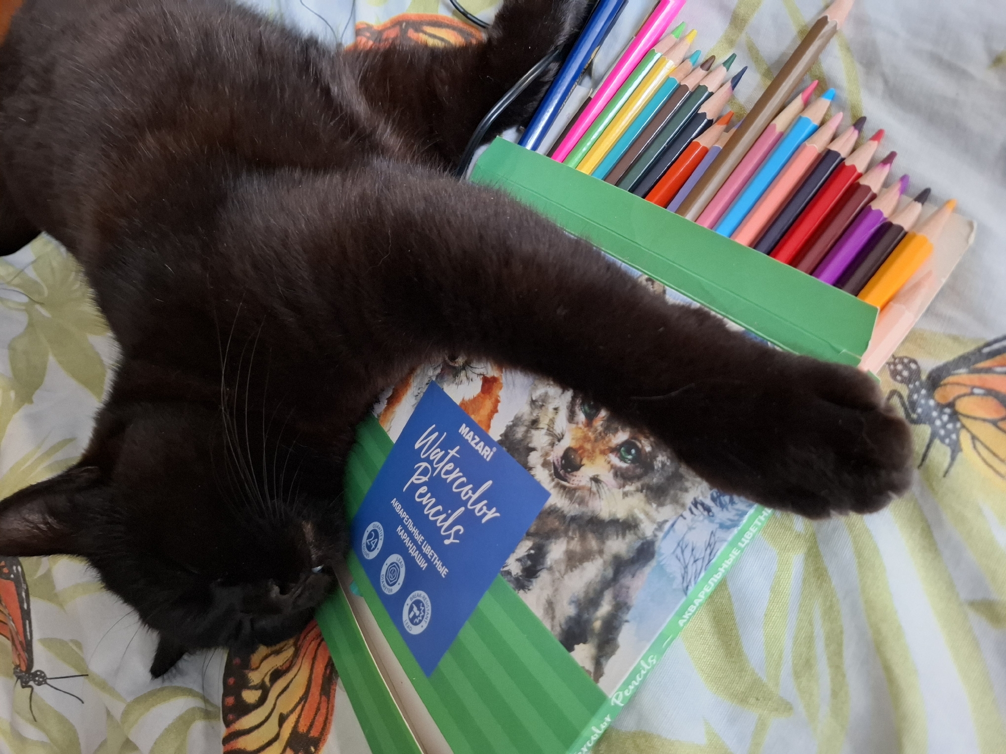 A black cat is sleeping on a box of watercolor pencils and a set of colored pencils. The box of watercolor pencils has the brand name "MAZARI" and an image of a kitten on the front. The colored pencils are arranged neatly in their box. The background is a bedspread with a butterfly pattern. The location is not explicitly stated in the image, therefore that detail cannot be provided.
