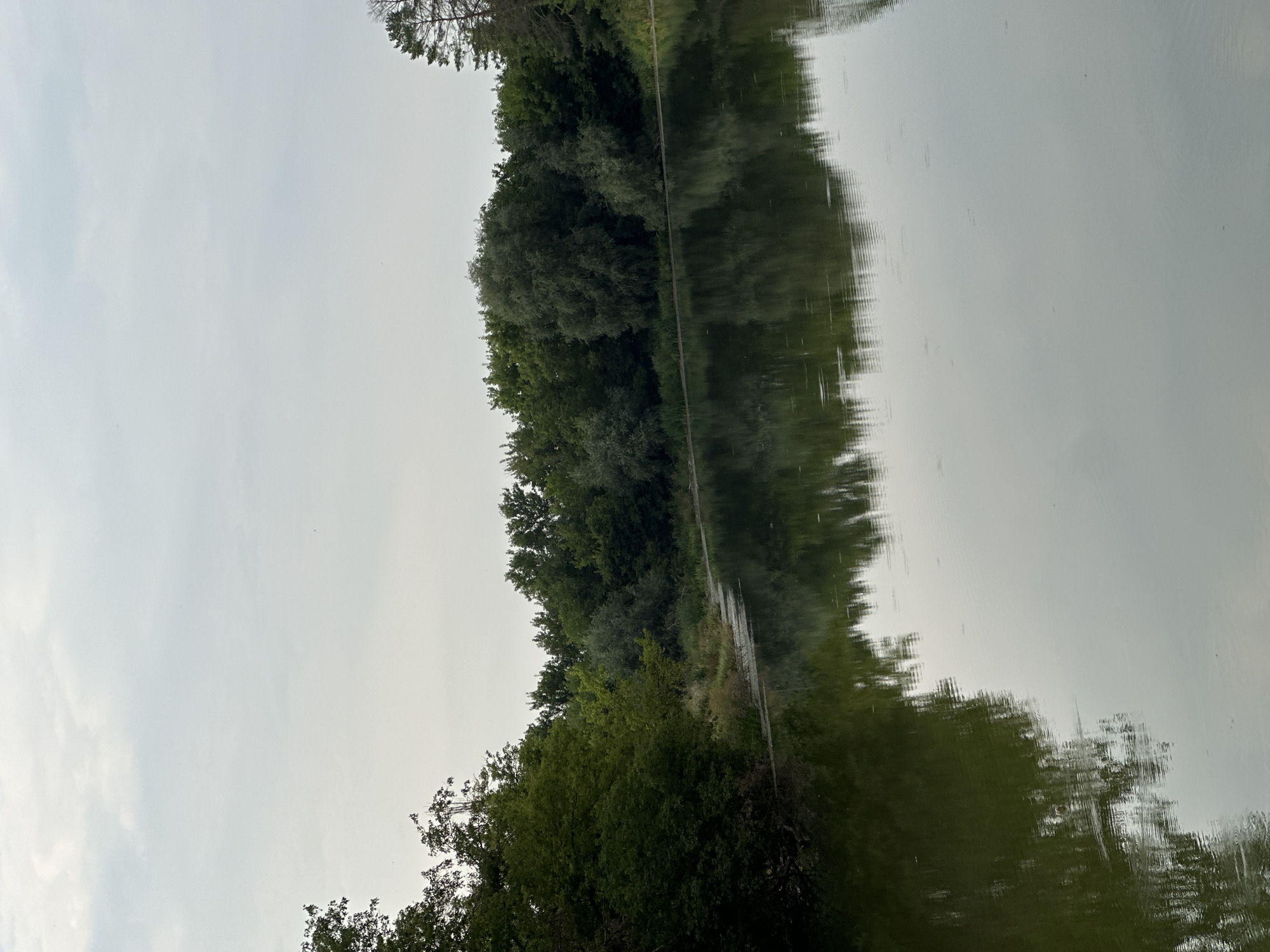 A tranquil lake reflects a lush green treeline and an overcast sky in Makiv, Ukraine. The image captures a serene natural landscape, with dense foliage bordering the water's edge. The lake's surface is calm, creating a mirror-like reflection of the trees and sky above. There are no people or animals visible in the scene. The overall impression is one of peaceful solitude within a natural setting.