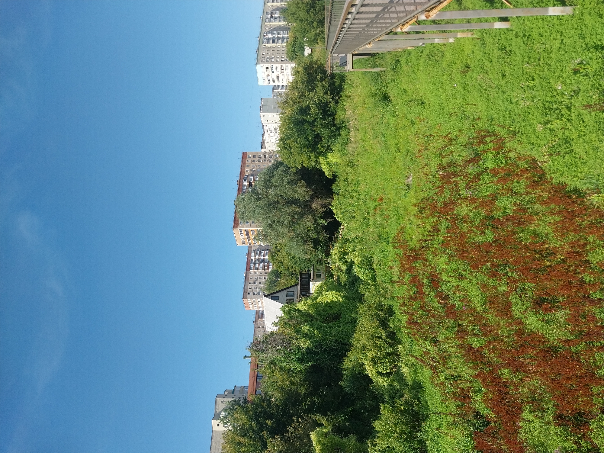 The image shows a bright, sunny day with a clear blue sky. In the foreground, a dense green meadow is dotted with patches of reddish-brown vegetation. To the right, a metal footbridge with wooden planks stretches across the scene. In the middle ground, a thick green forest obscures a small triangular-roofed house nestled amongst the trees. Beyond the forest, several multi-story apartment buildings rise against the sky, suggesting an urban or suburban environment. The presence of apartment buildings, particularly the style which is common in Russian cities, and the overall atmosphere, are consistent with a location in Orenburg, Russia. There are no people visible in the image.