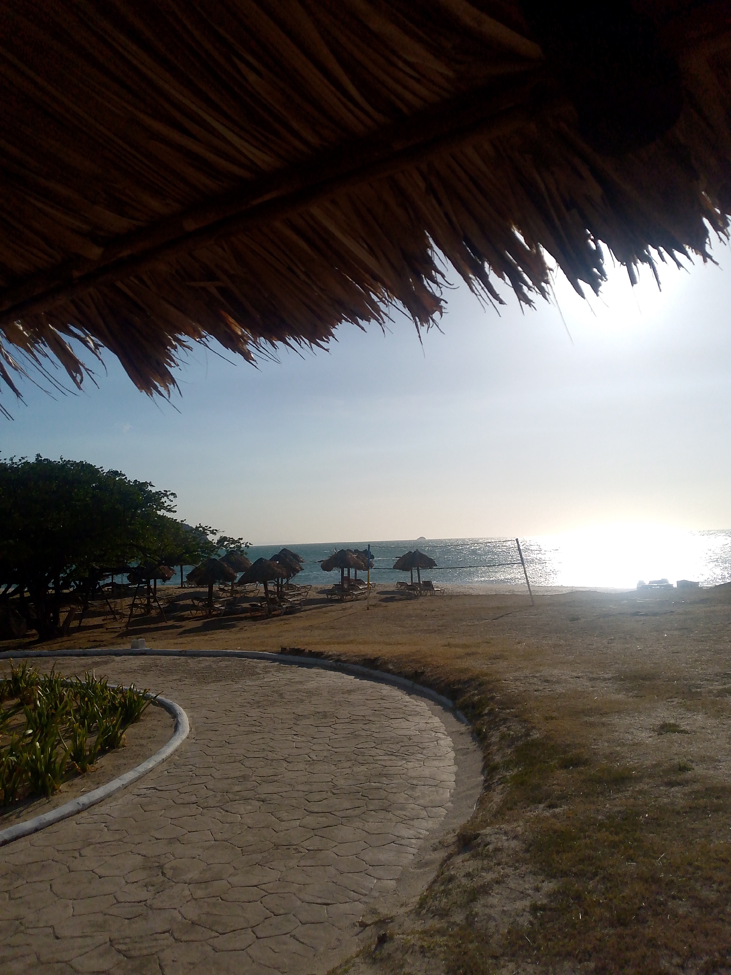 The image presents a coastal scene in Pedro González, Venezuela. A thatched roof overhangs the top of the frame, suggesting a shelter or palapa. The perspective opens onto a walkway that curves from left to right, bordered by vegetation on one side and grassy terrain on the other. In the distance, the beach is dotted with thatched umbrellas and lounge chairs, indicating a recreational area. A volleyball net is visible near the shoreline. The ocean is reflecting the sunlight, causing a bright glare that obscures details on the horizon.